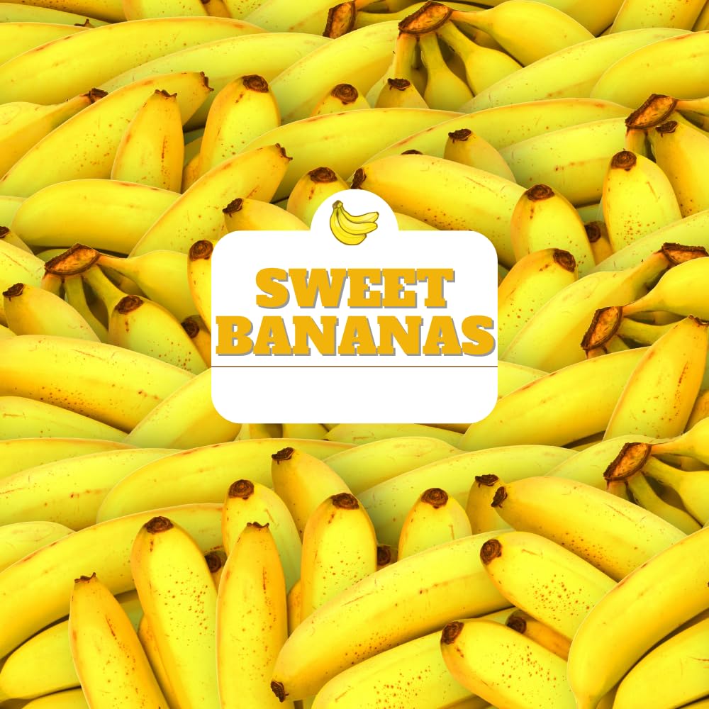 Banana Tree Live Plant, Banana Plant Live, Cold Hardy, Well-Rooted, Sweet Fruit, 4-6 Inches Tall for Outdoor Planting (Grand Nain Banana)
