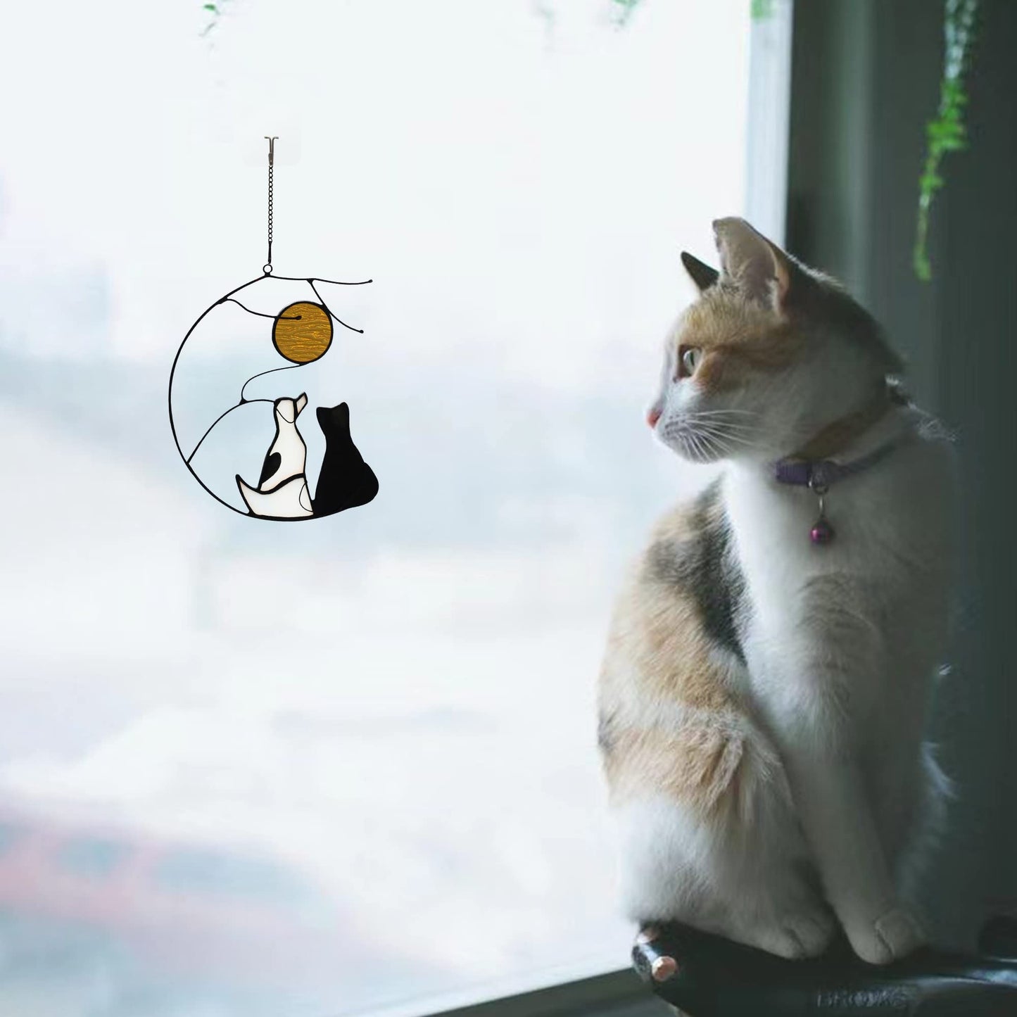 HAOSUM Dog and Cat Friendship Decor Stained Glass Window Hanging,Pet Memorial Gifts Suncatcher for Window,Black Cat Themed Gifts for Cats Lovers,Dog Lovers Giftss for Women