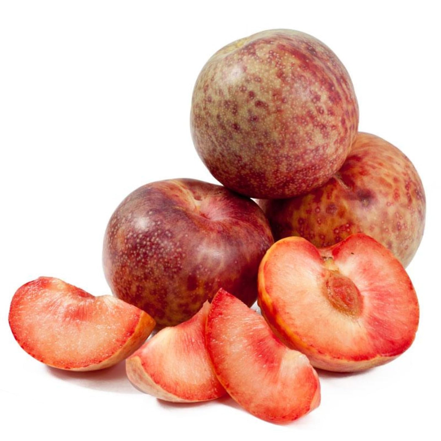 Live Flavor Pluot Tree Plant in 3 Gallon Pot, 2–3 Ft Tall Plum Apricot Fruit Tree for Outdoor Garden, Backyard, or Landscape Planting, No Ship to CA