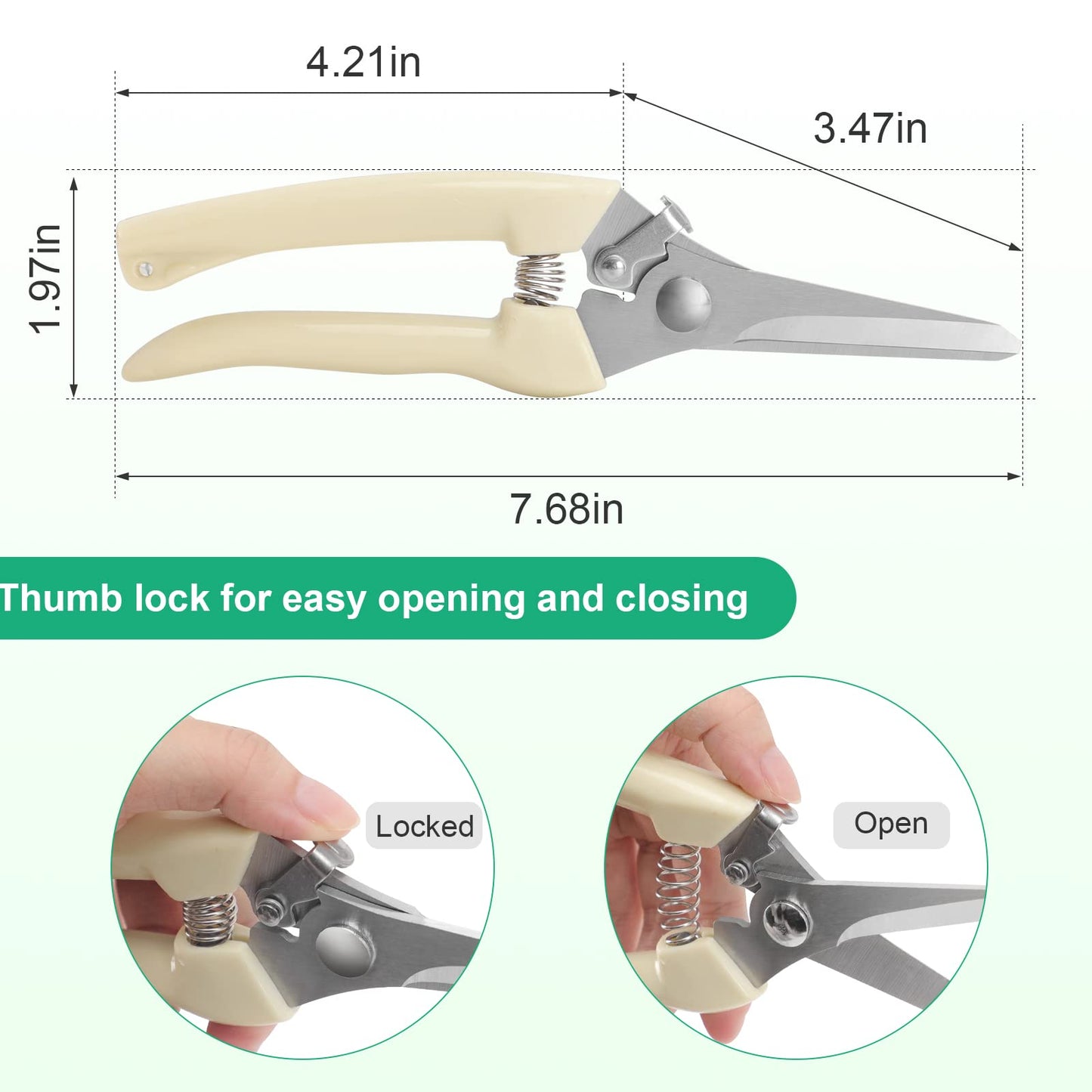 6PCS Premium garden shears, pruning scissors gardening tools, pruners for flower, bushes, rose and fruit tree, use for florist, yard and orchard the plant clippers, sharp steel anvil snips (white, 6)