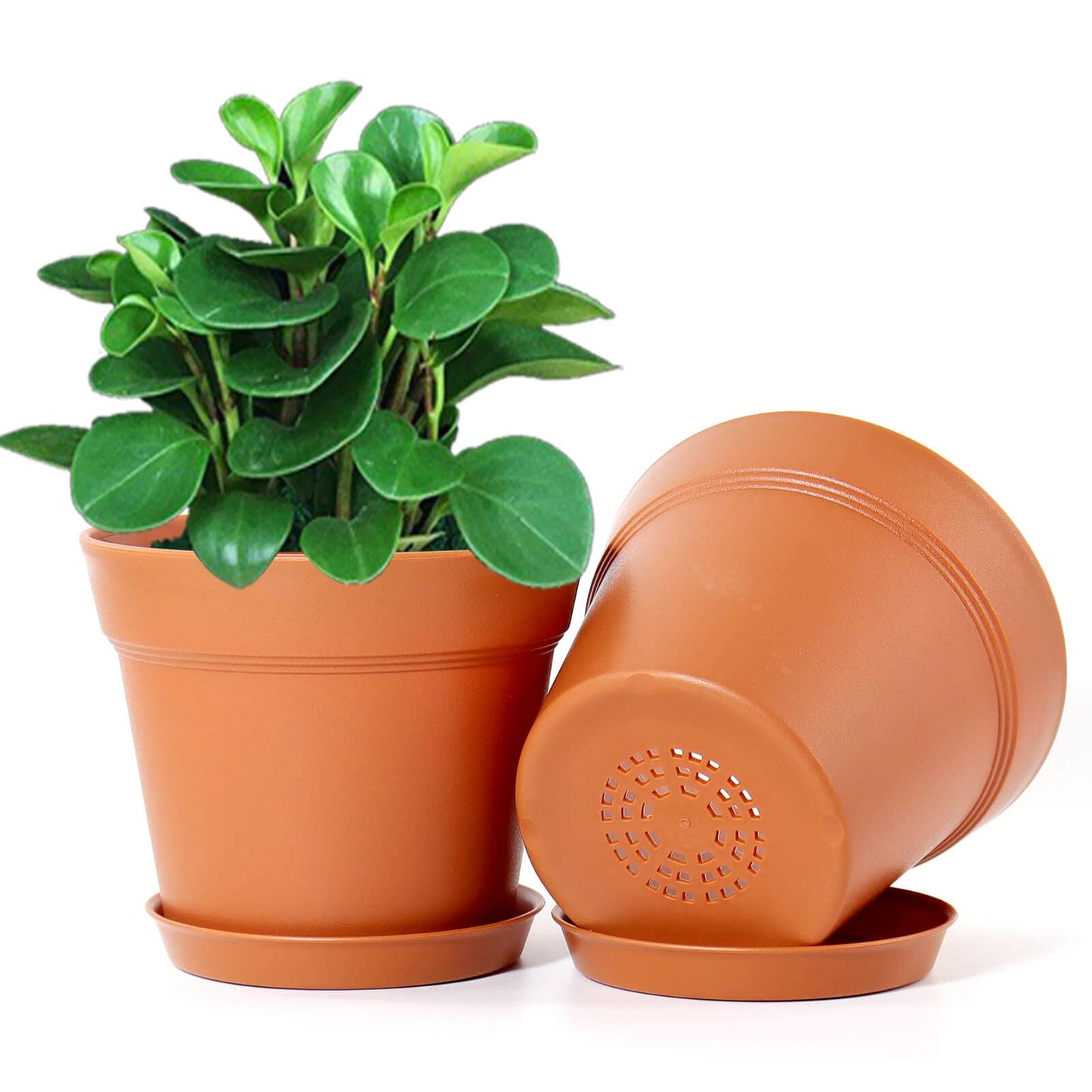 WOUSIWER 16 Pack 6 inch Plastic Planters, Plastic Indoor Planter Flower Pots, Heavy Duty and Stylish 6 Inch Plant Pots for Indoor Plants with Drainage Holes and Tray for Plants, Flowers, Terracotta