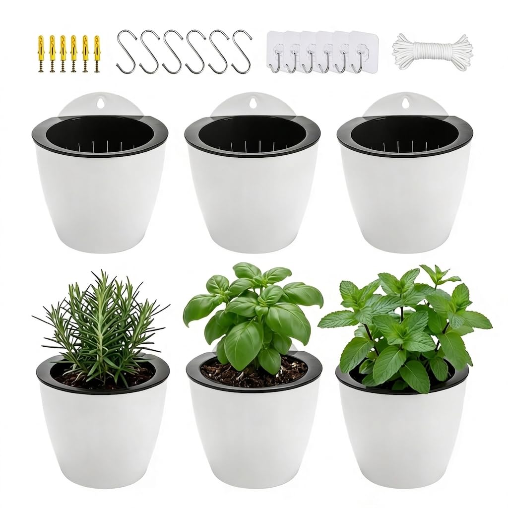 6 Pack White Hanging Planter Pots Self Watering Vertical Garden Wall Mount Window Hang Round Plastic Container Indoor Outdoor for Plants Flowers Succulent Kitchen Living Herbs Holder Decor(Large)