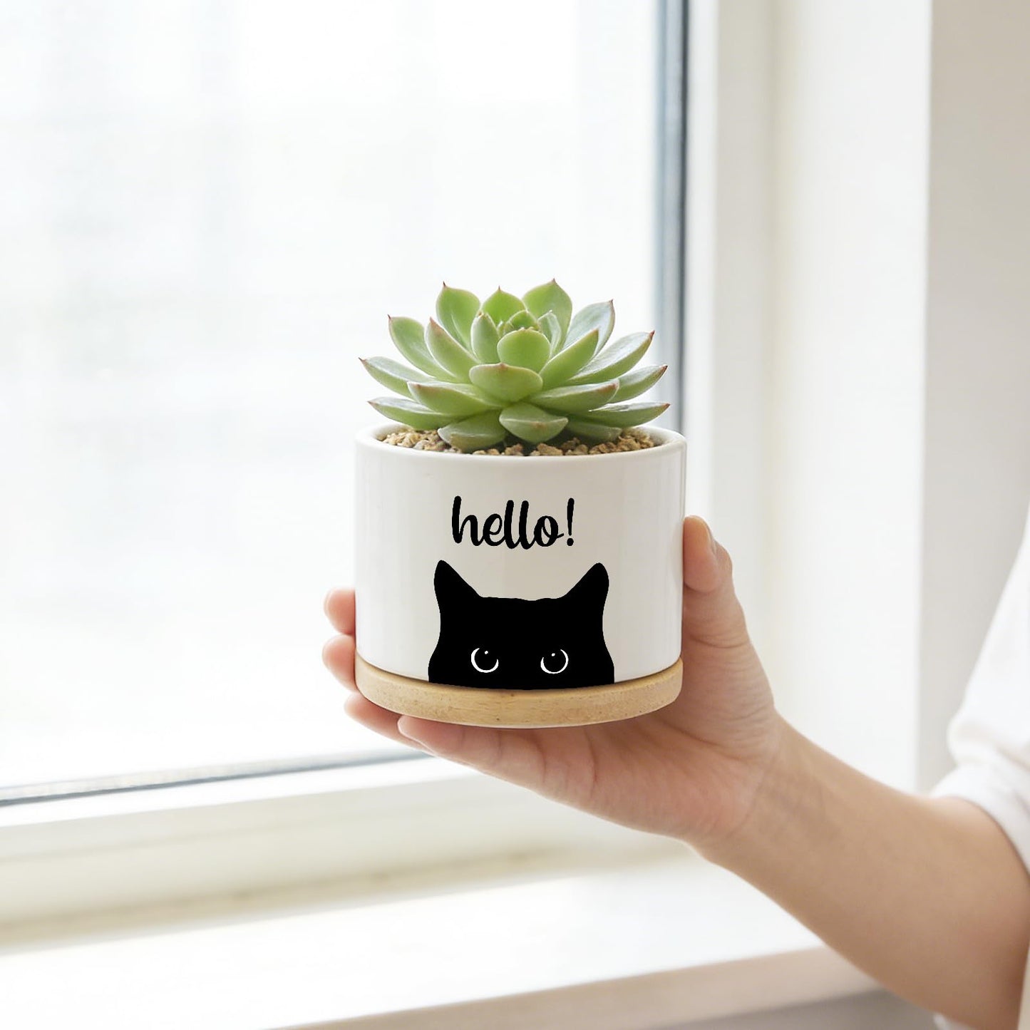 Funny Hello Black Cats Ceramic Plant Pot for Succulent, Cute Cat Cactus Flower Planter for Windowsill Indoor Decor, Home Office Decoration for Plant Lovers Friends Cat Owner Lover (No Plants) (Hello)