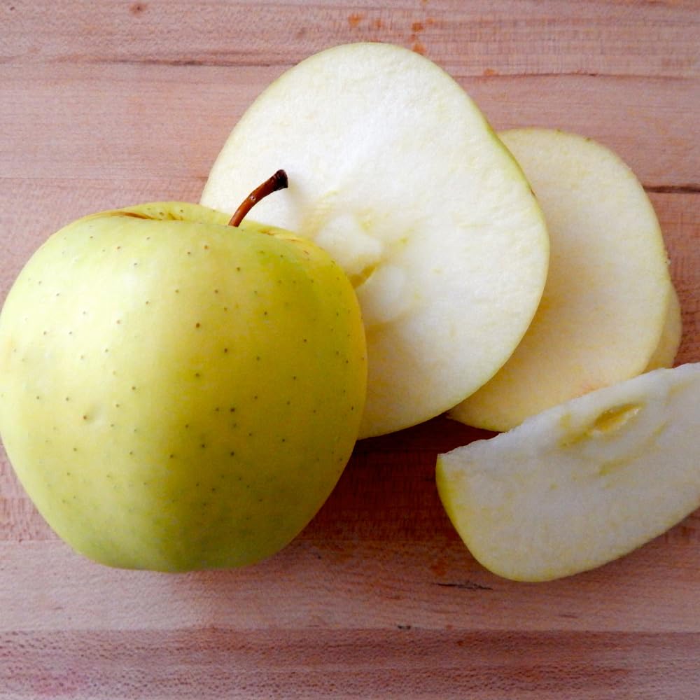 Golden Delicious Apple Trees Live Plants, Apple Tree, Well Rooted, 3 Feet, 3 Gallon Pot, Sweet Fruit Tree for Edible Garden, No Ship to CA