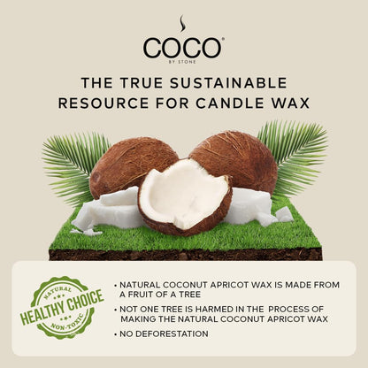 COCO by Stone 11oz Candle, Coconut Apricot Wax Candle for Home (Blue Birch) Home Fragrance Products, 1 Wick Candle, Enhance Indoor Aroma, Vegan & Cruelty-Free, Clean Burning and Hand Poured Candle