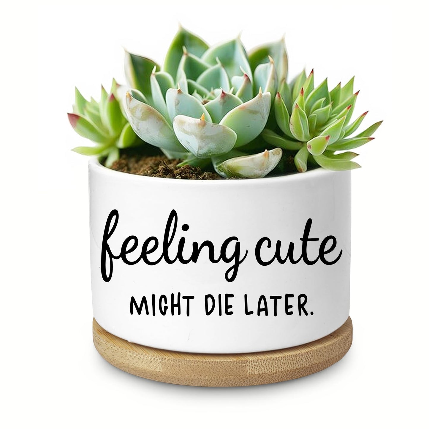 Aryabtya Funny Succulent Planter, Flower Cactus Plant Pot for Indoor Plants, Cute Planter Pots with Drainage and Tray, Office Home Windowsill Decor Planter Gift for Women Men (No Plants)