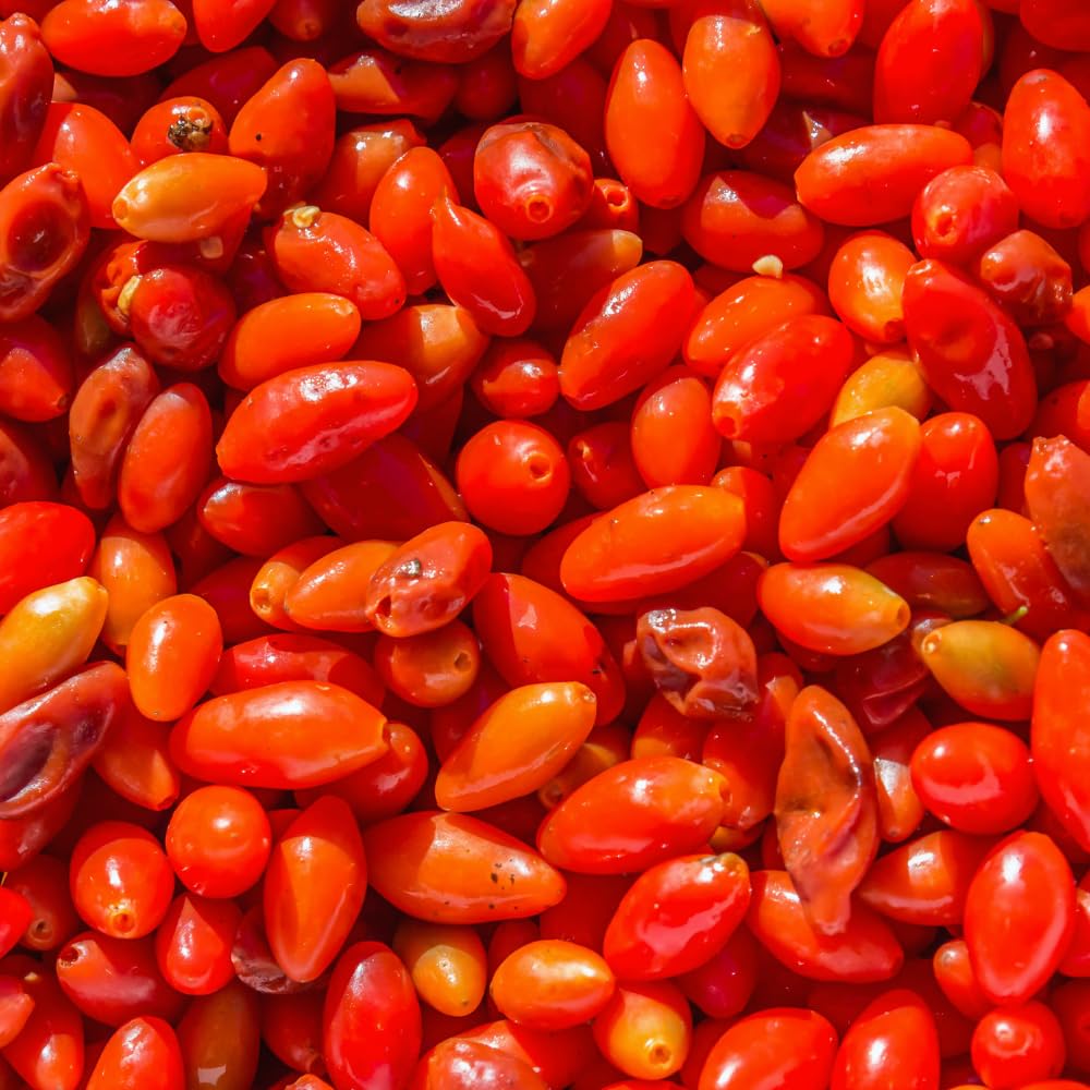 3 Red Goji Berry Plants Live, Goji Berry Tree Live Plant, 3-5'' Tall, Sweet Fruit Tree Gardening Outdoor Indoor, No Pot, Well Rooted