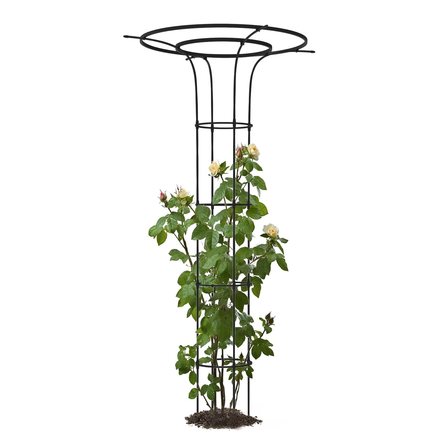 Trellume Trellis for Climbing Plants Outdoor - 69"(H), Expandable and Rust-Proof Metal Plant Support, Easy Installation, Garden Trellis for Potted Roses, Vines, Jasmine(1 Pack)