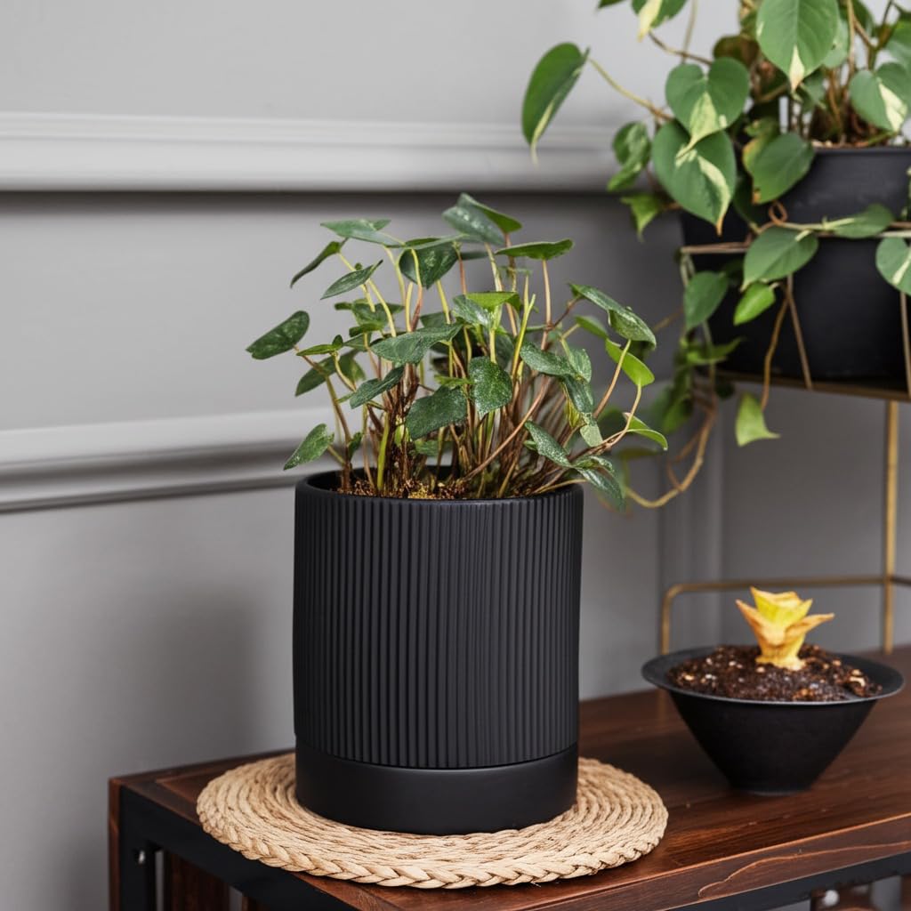 HERDUK 6 Inch Ceramic Plant Pot with Drainage & Saucer - Indoor Planter for Succulents, Cacti & Aloe Vera - Striped Design, High-Temp Fired Clay, Lightweight Modern Decor