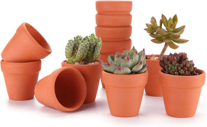 T4U 6.5CM Terracotta Plant Pots 12 Pcs, Mini Terracotta Pots with Drainage Holes, Small Clay Pots for Crafts, Small Plant Pots for Succulent Cactus Plants, DIY Mini Flower Pot, Gifts for Party Decor