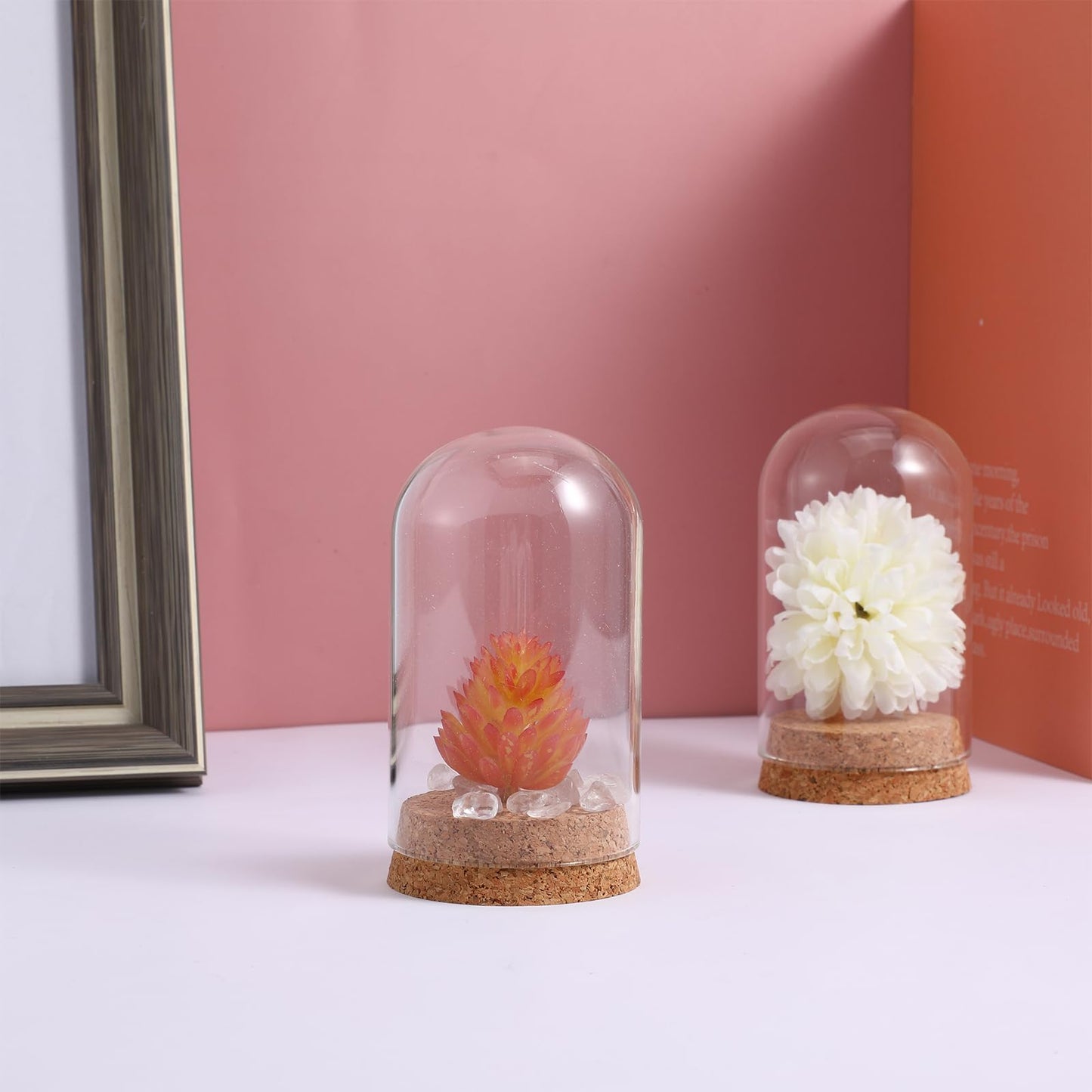Ipetboom 5pcs Cloche Glass Dome Display Covers with Cork Base - Tabletop Centerpiece Bell Jar Showcase Terrarium for Eternal Flowers Gold Rose Micro Landscape Flower Plant Preserved - 3.9x2.4in