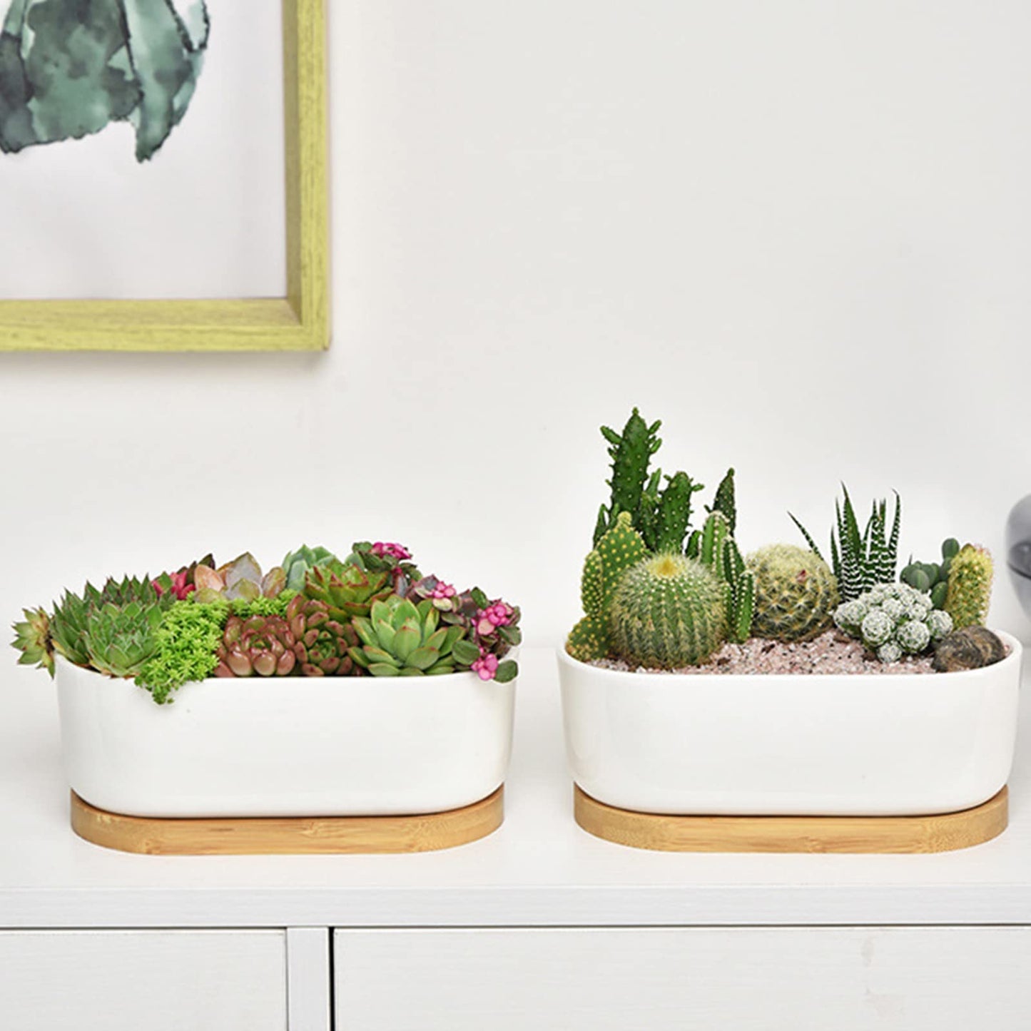 ARVINKEY White Ceramic Succulent Plant Pots, Indoor and Outdoor Succulent Planters, Set of 2 Small Cactus Containers, Bonsai Pots, Flower Pots with Drainage Hole and Bamboo Bowl (No Plant)