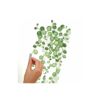 RoomMates RMK3903SCS String of Pearls Succulent Vine Peel and Stick Wall Decals