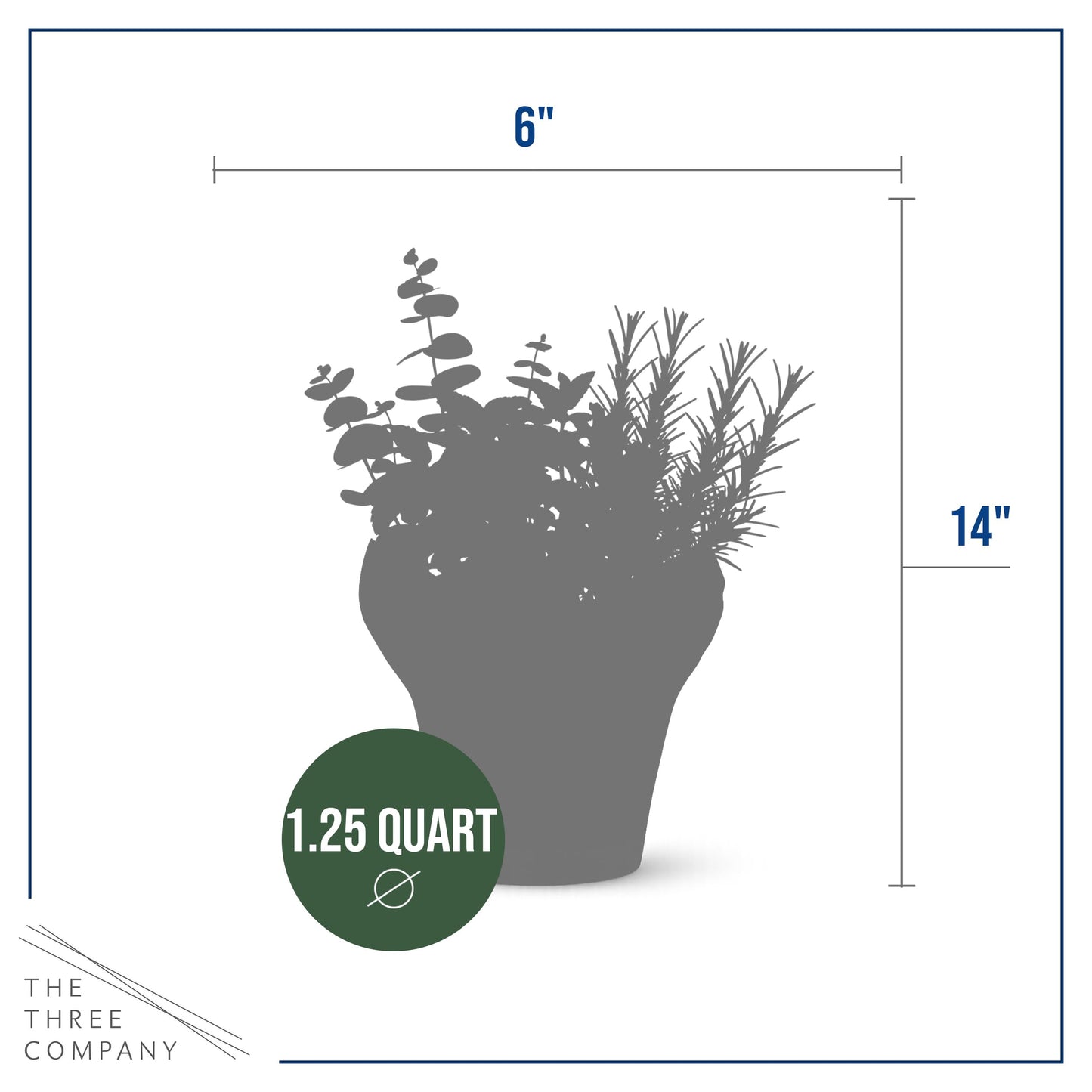 Live Aromatic and Healthy Herb Combo in Deco Cover - Breathe Better, Combo Includes Eucalpytus, Mint, and Rosemary, 12" Tall by 6" Wide in 1.25 Quart Pot