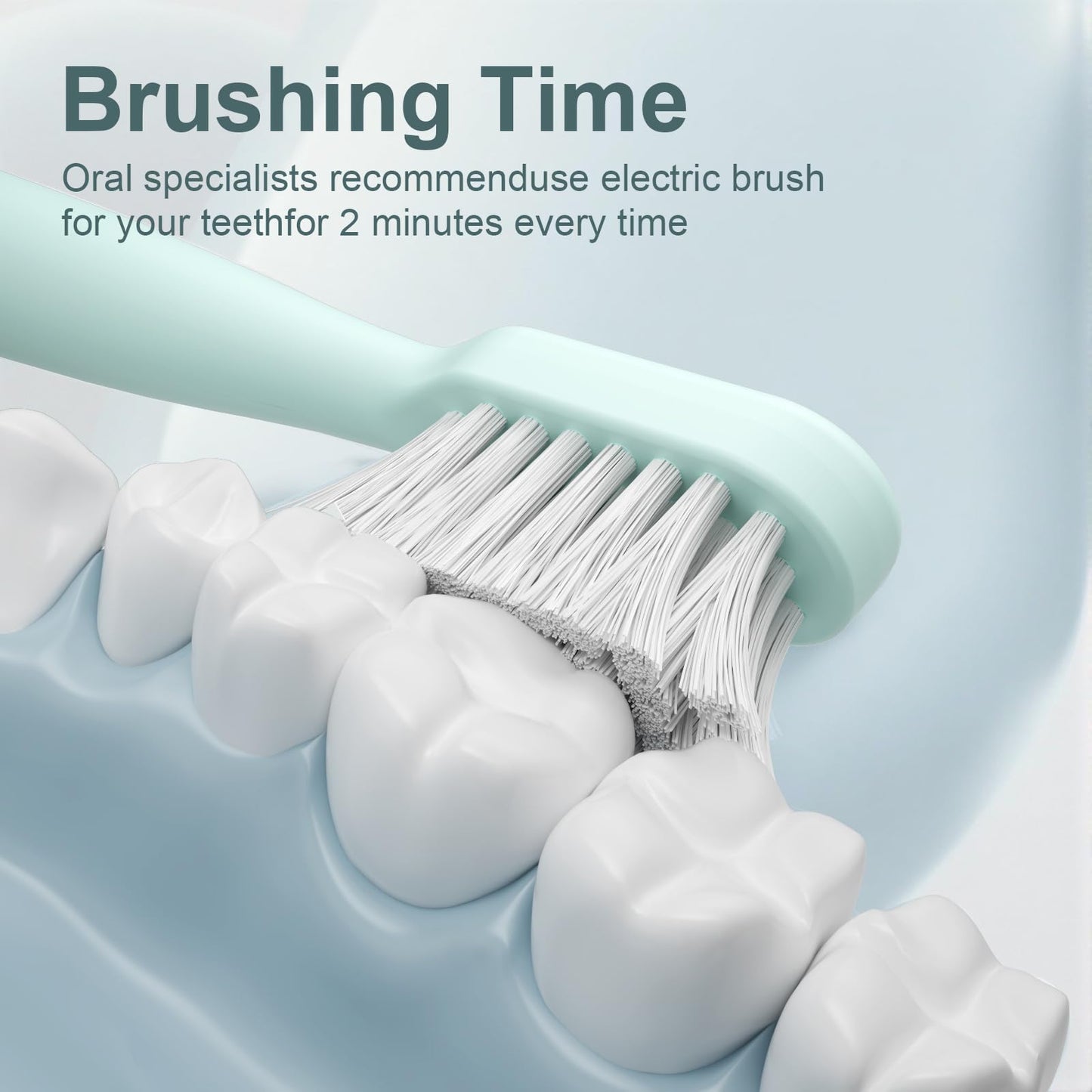 Electric Toothbrush Set with Drying & Sanitizing Holder, 8 Replacement Brush Heads, Transparent Rinse Cup, Smart Timer, USB Rechargeable for Adults