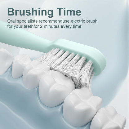 Electric Toothbrush Set with Drying & Sanitizing Holder, 8 Replacement Brush Heads, Transparent Rinse Cup, Smart Timer, USB Rechargeable for Adults