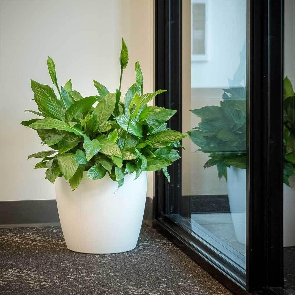 Greenline Manufacturing Memphis 13" Round Indoor Floor Planter Pot – Lightweight & Durable Plastic, Modern Design, Made in USA, Recyclable Large Plant Container for Home & Office Décor (White)