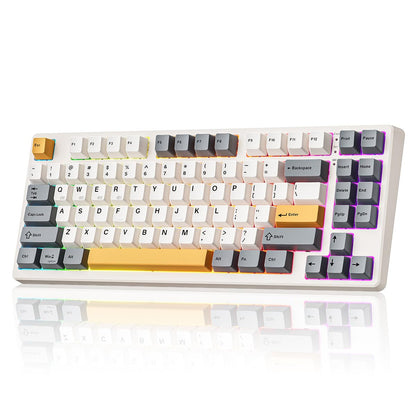 Wireless Mechanical Keyboard,Gasket Mounted with Creamy Sound,Bluetooth/2.4GHz/USB-C,Custom Hot Swappable,RGB Backlit,75% Compact Layout for Gaming/Typing/Win/Mac/PC (Retro Beige,Linear Switch)