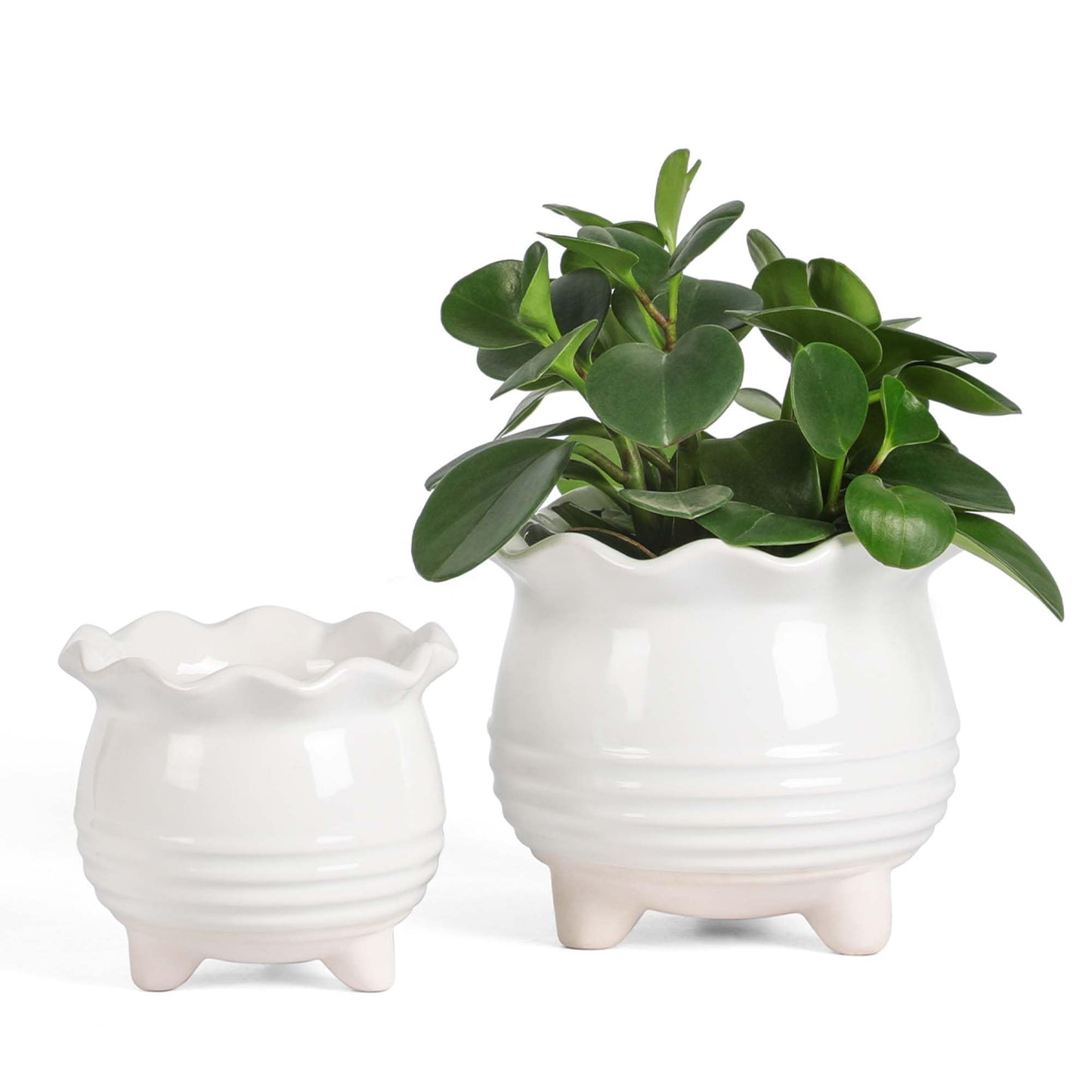 Fayoula Ceramic Planter, 2 Piece Ceramic Planter Set with Drainage Hole for Home and Office, Indoor Plant Potting, Suitable for Succulents, Bonsai, Snake Grass and Money Tree, etc. (White)