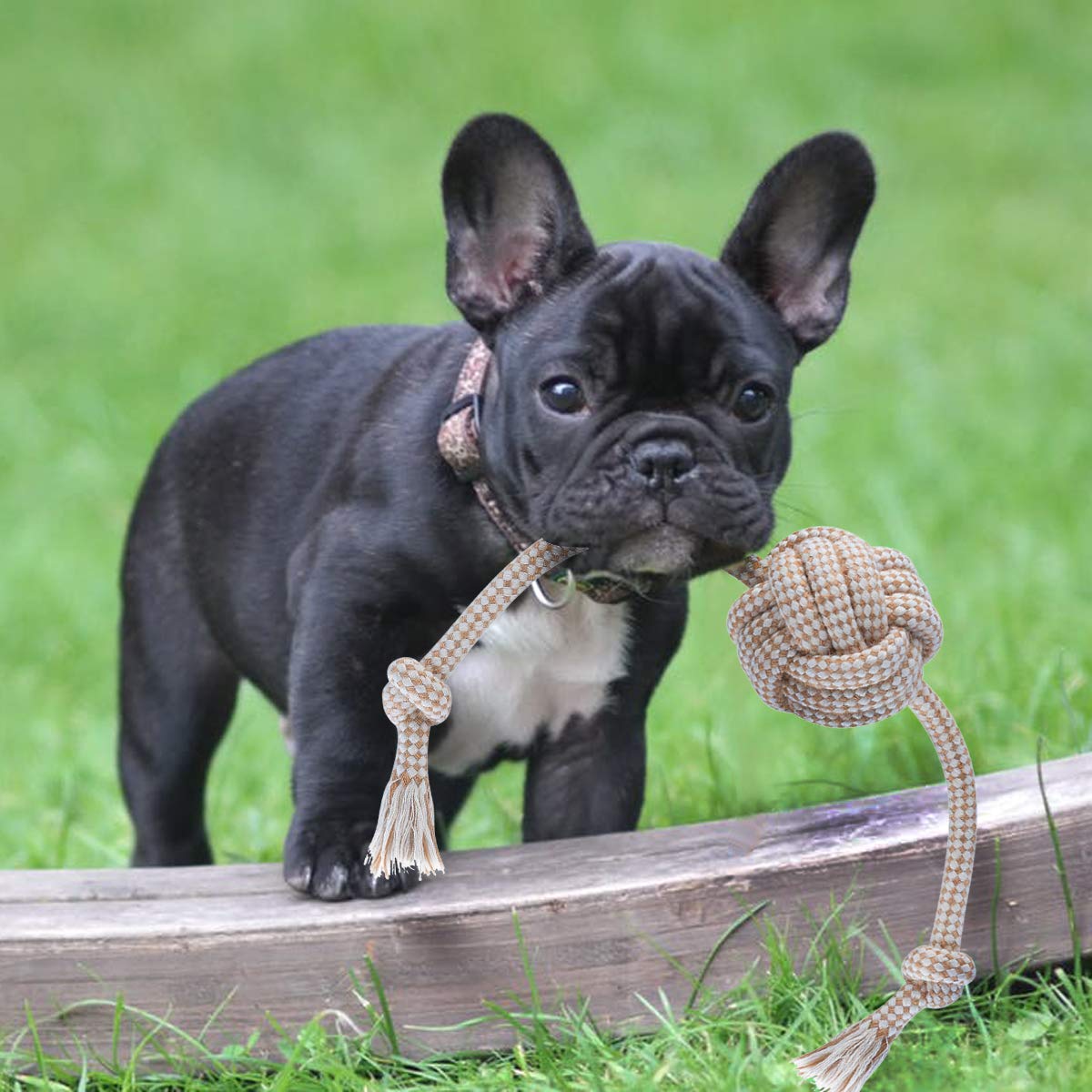 FONPOO Dog Toys for Avoiding Boredom and Anxiety - Chew Toys for Medium Dogs and Puppies - Birthday Gift Sets