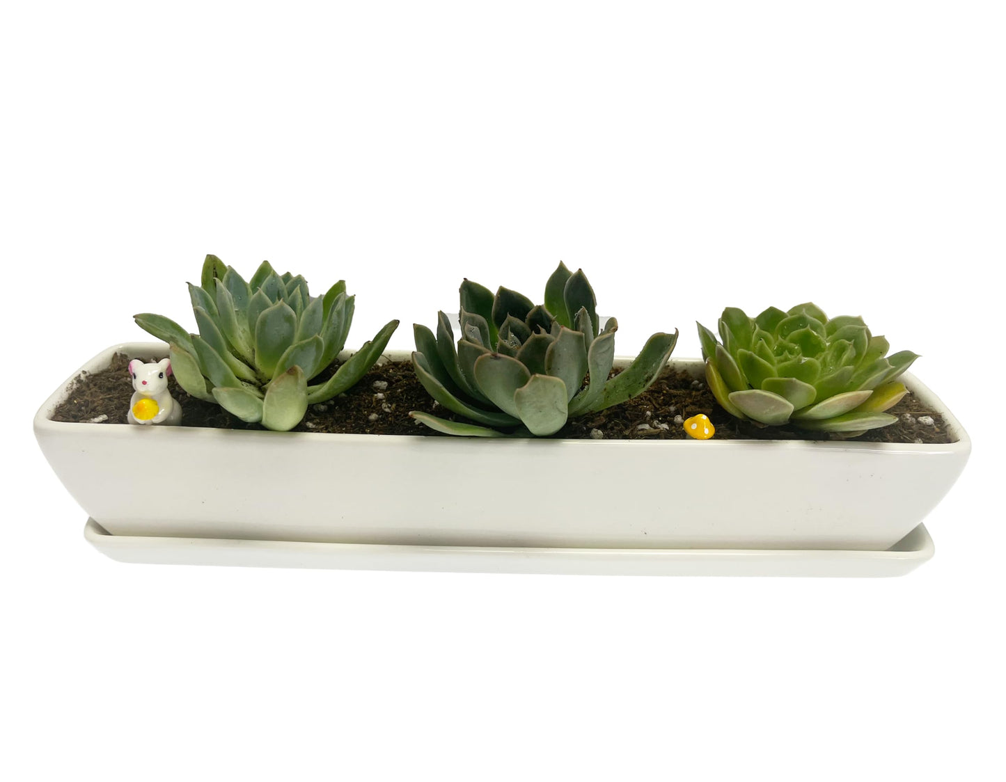 Kipokalor Two Set of Long Rectangular Modern Succulent Planter Pot,with Ceramic Saucer for Office,Desk,Window. (2)