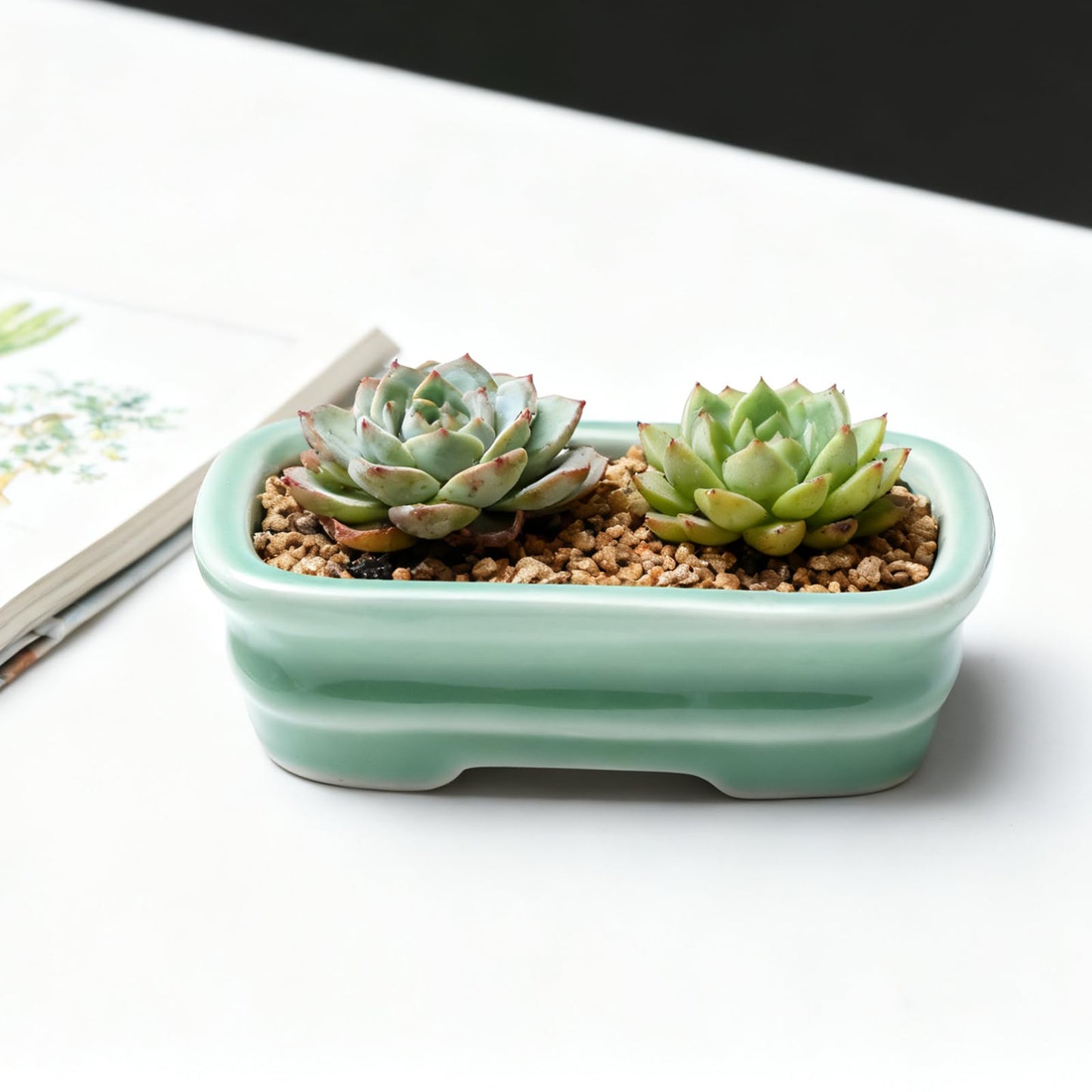 KyoYi Bonsai Pots & Small Ceramic Planters, Set of 5 with Drainage - 5 Inch Shallow Indoor Pots for Succulents, Bonsai, House Plants, Vintage Red and White Glazed Flower Pots, Plant Lover Gift