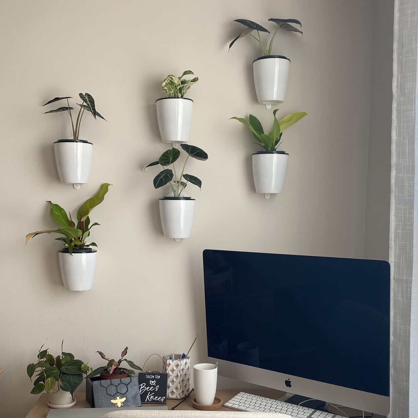DEELF OUTLET 6 Packs 5" Plastic Self Watering Pots Wall Hanging Planters Wall Mounted Wicking Flower Pots for Indoor and Outdoor African Violet, Ocean Spider Plant, Orchid, White