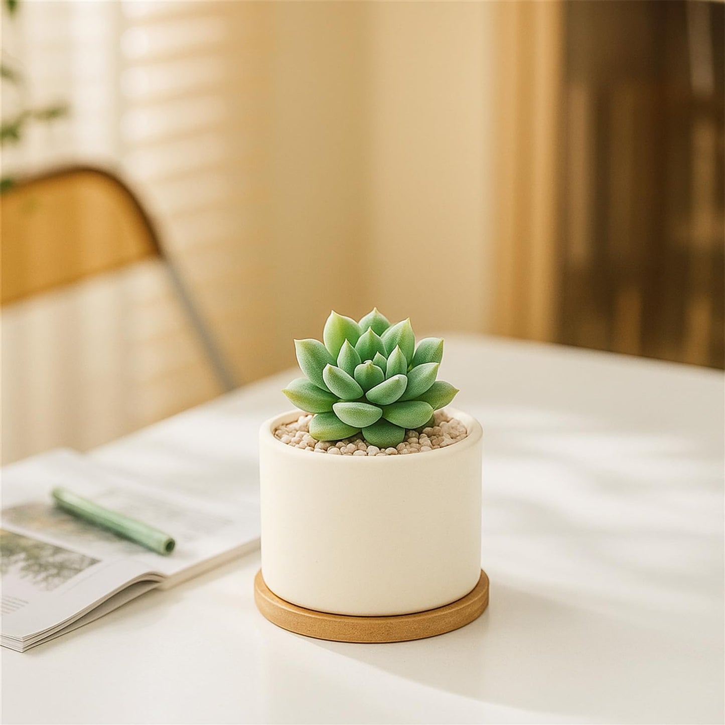 ZOUTOG Succulent Pots 3.1 Inch,Succulent Planters 12 Pack,Small Pots for Plants with Drainage and Tray,White Ceramic Flower Planters for Indoor Plants,Home,Office,Desk
