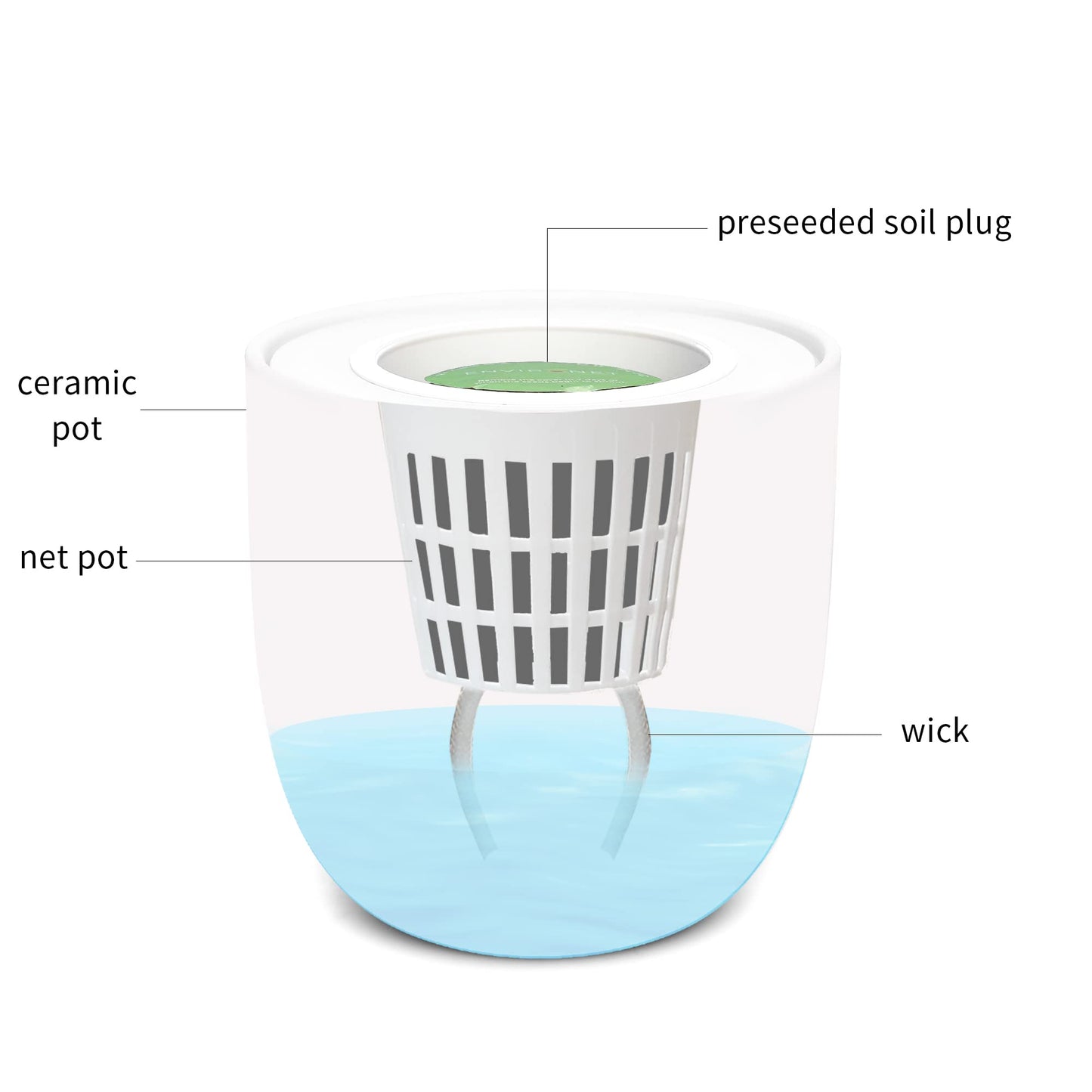 Environet Hydroponic Herb Growing Kit, Self-Watering Kitchen Herb Garden Starter Kit with Organic Seeds (Lavender)