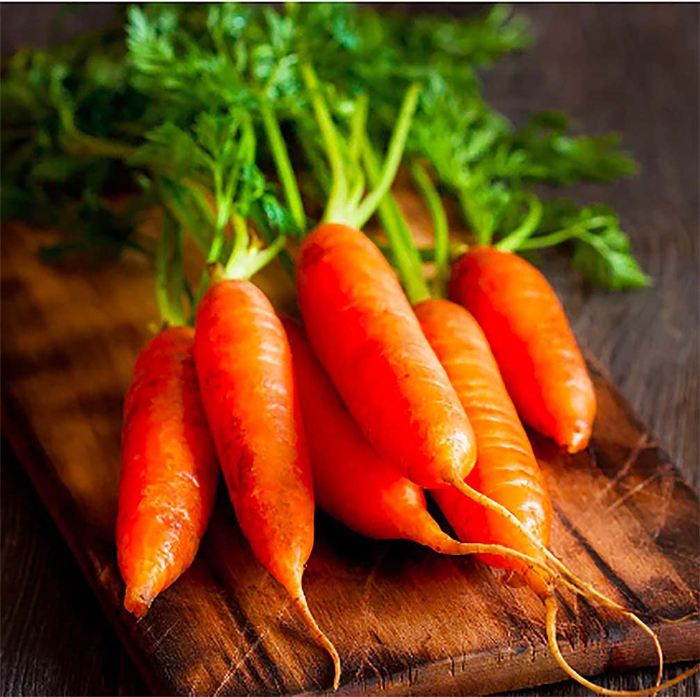 Baby Carrot Seeds - Little Finger Carrots - A Delicacy - 900 Seeds