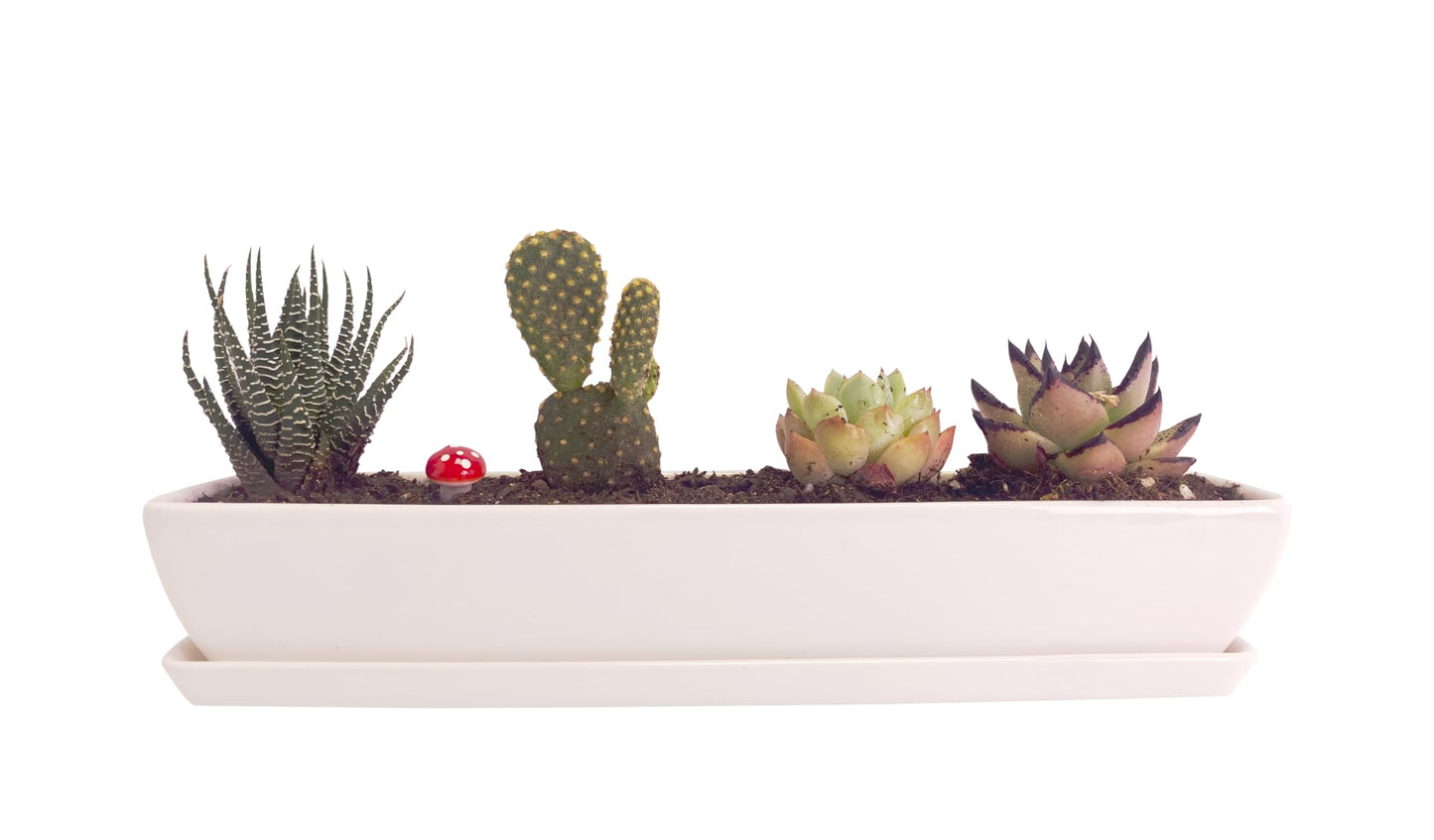 Kipokalor Long Rectangular Modern Succulent Planter Pot, 2 Set of 11.1x2.36x1.77inch Minimalist White Ceramic Succulent Planter Pot with Ceramic Saucer for Office,Desk,Window.
