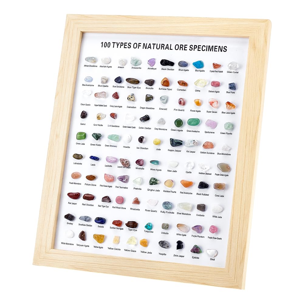 PH PandaHall 100pcs Natural Stones Collection Box Natural Crystal Gemstones Collection Rock Specimen Display Case Gem Stone Decor Shadow Box for Home Office Desk Decoration Birthday Gift Giving