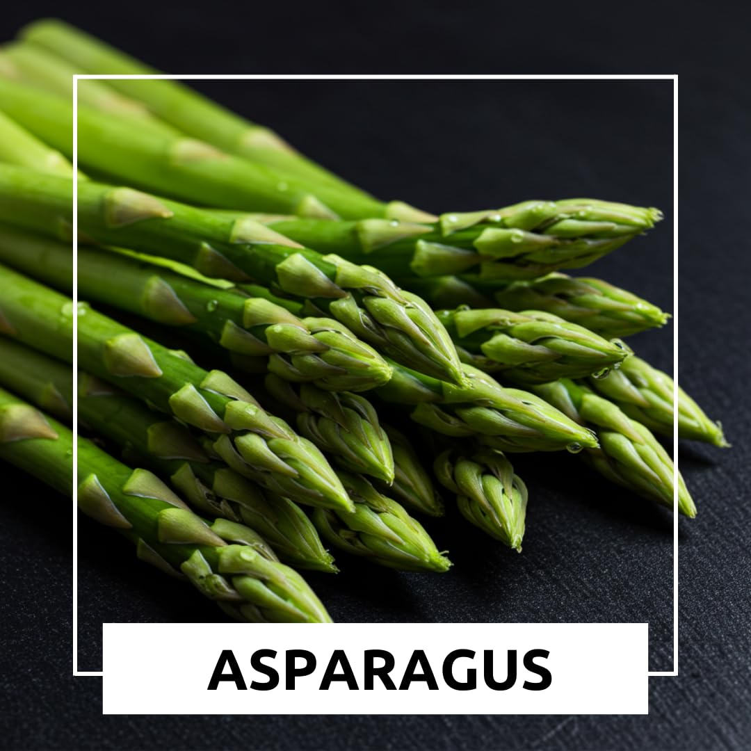 Jersey Giant Asparagus Crowns – 25 Live 2-Year Bare Root Plants – High-Yield Variety for Home Gardens and Farms