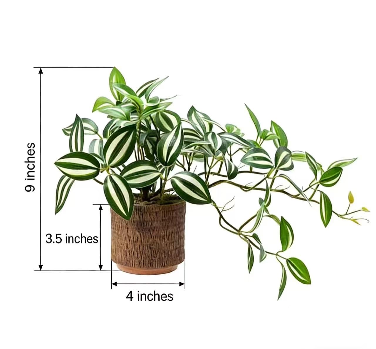 EZBOHO 8.5" Artificial Trailing Peperomia Vine in Textured Light Coffee Ceramic Pot 12" Wide Lifelike Faux Round-Leaf Plant for Indoor Home Office Desk Shelf Bathroom Decor