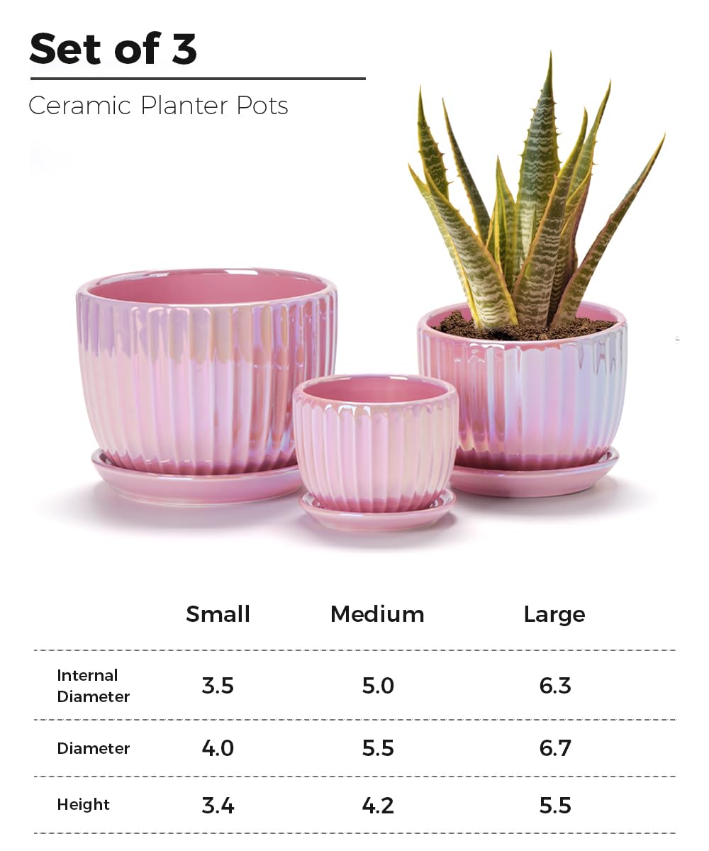 Ton Sin Pink Gold Ceramic Flower Pots, 4"+5"+6" Inch Small Glazed Succulent Planters with Drainage Hole,Modern Indoor Decorative Plant Pots Set of 3,Garden Pots with Saucer