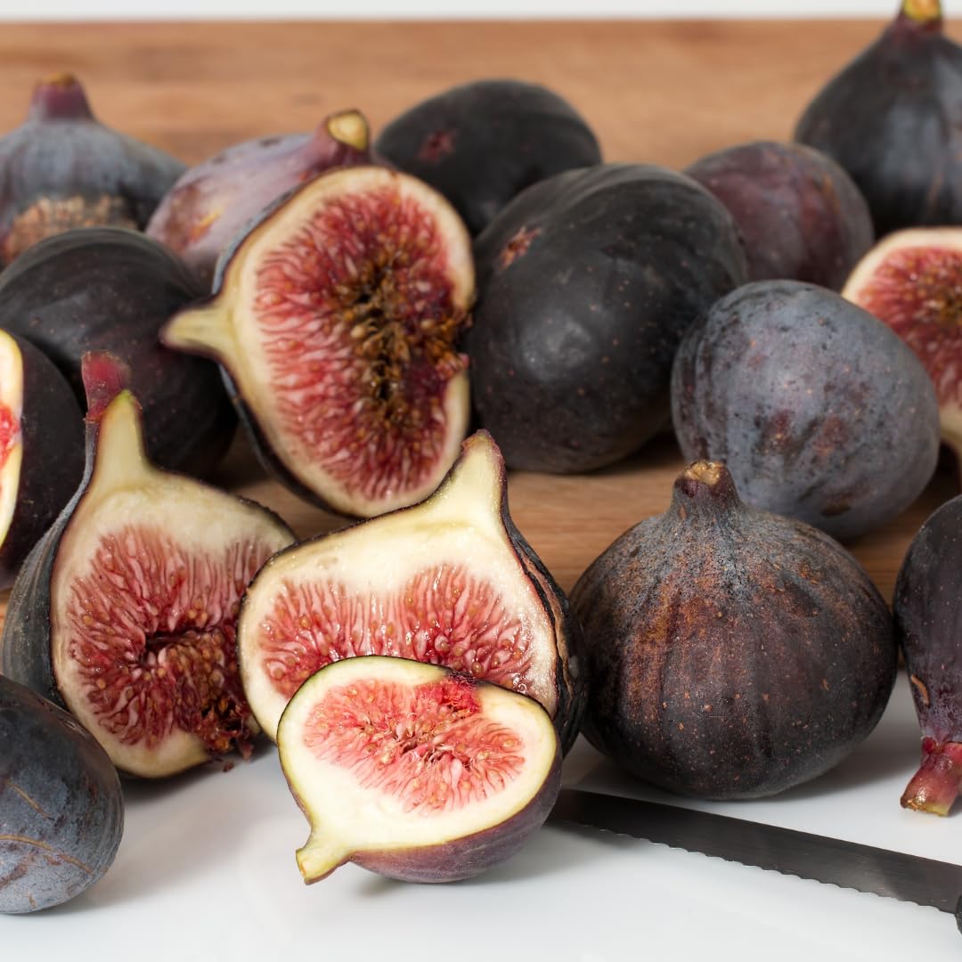 Fig Tree Live Plant, 1 Gallon Pot, Sweet Edible Fruit, Ready to Grow, Suitable for Gardens and Outdoor Planting, No Ship to CA (Black)