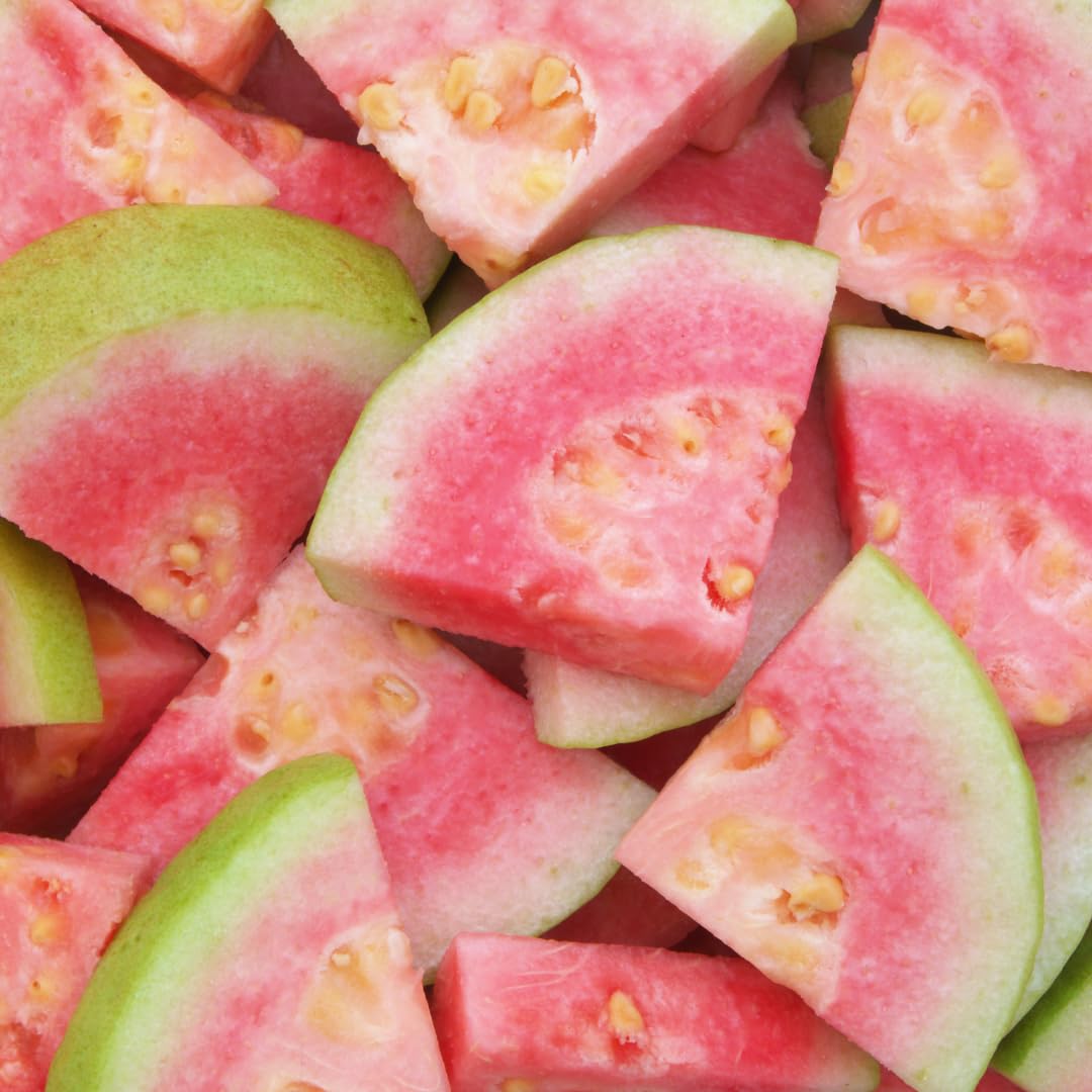 Pink Guava Plant Live, Sweet Tropical Guava Fruit Tree, 2–3 Ft Tall in 3 Gallon Pot, Ready to Grow, No Ship to CA
