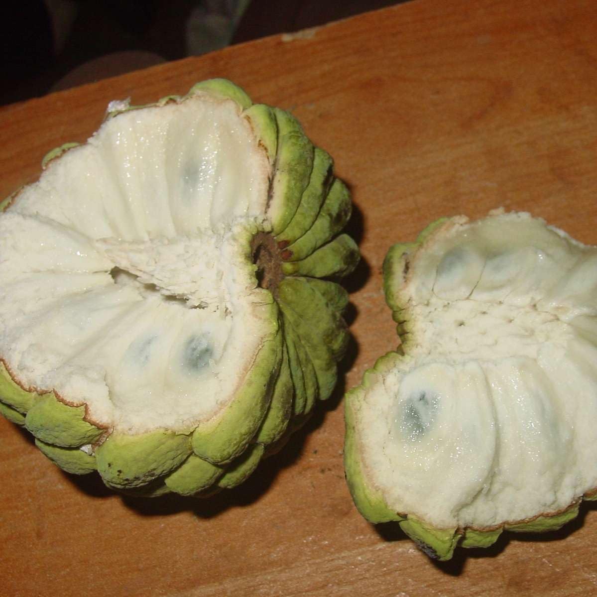 Live Plant - Sugar Apple (Annona Squamosa) Big Live Fruit Tree 12”-24”