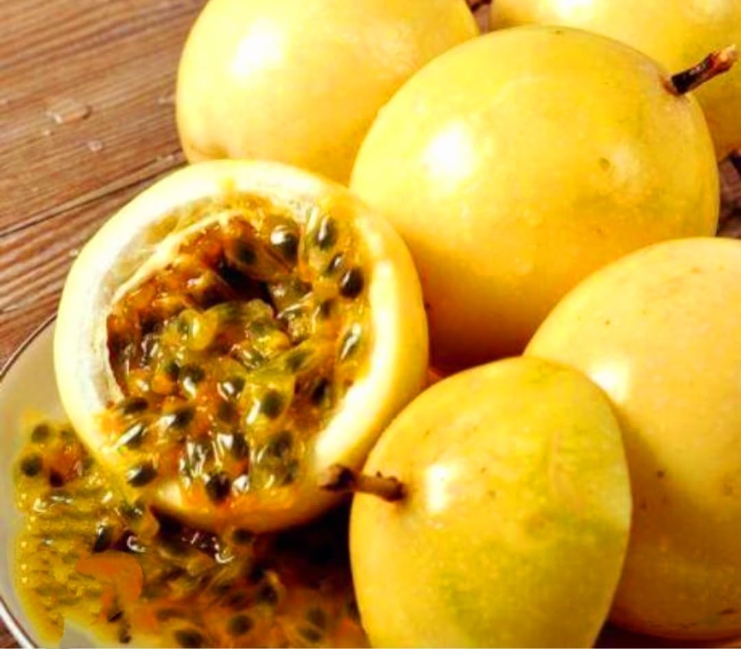 15 Sweet Passionfruit Yellow Granadilla Seeds Rare Passiflora Fruit Species, Freshly Picked