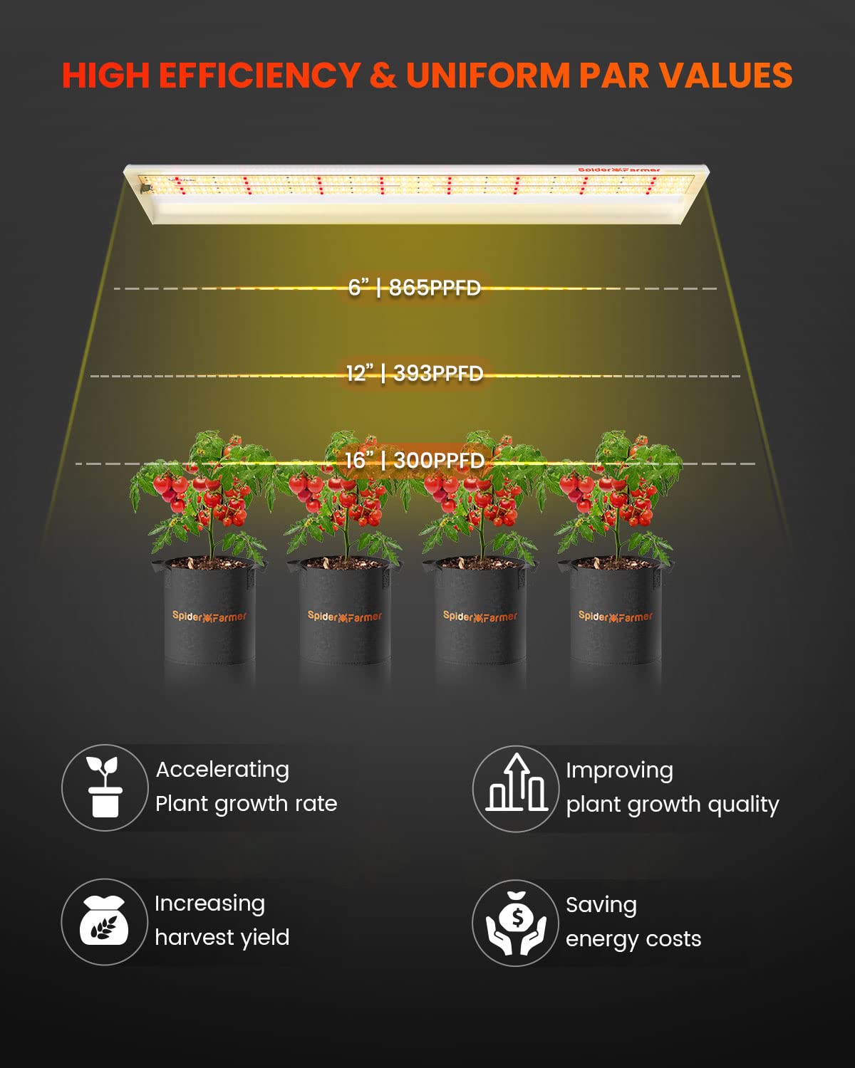 Spider Farmer SF600 LED Grow Lights Sunlike Full Spectrum Plant Growing Lamp for Indoor Plants Seeding Veg Flower Energy Saving & High Efficiency Grow Light for 2x4 ft Coverage