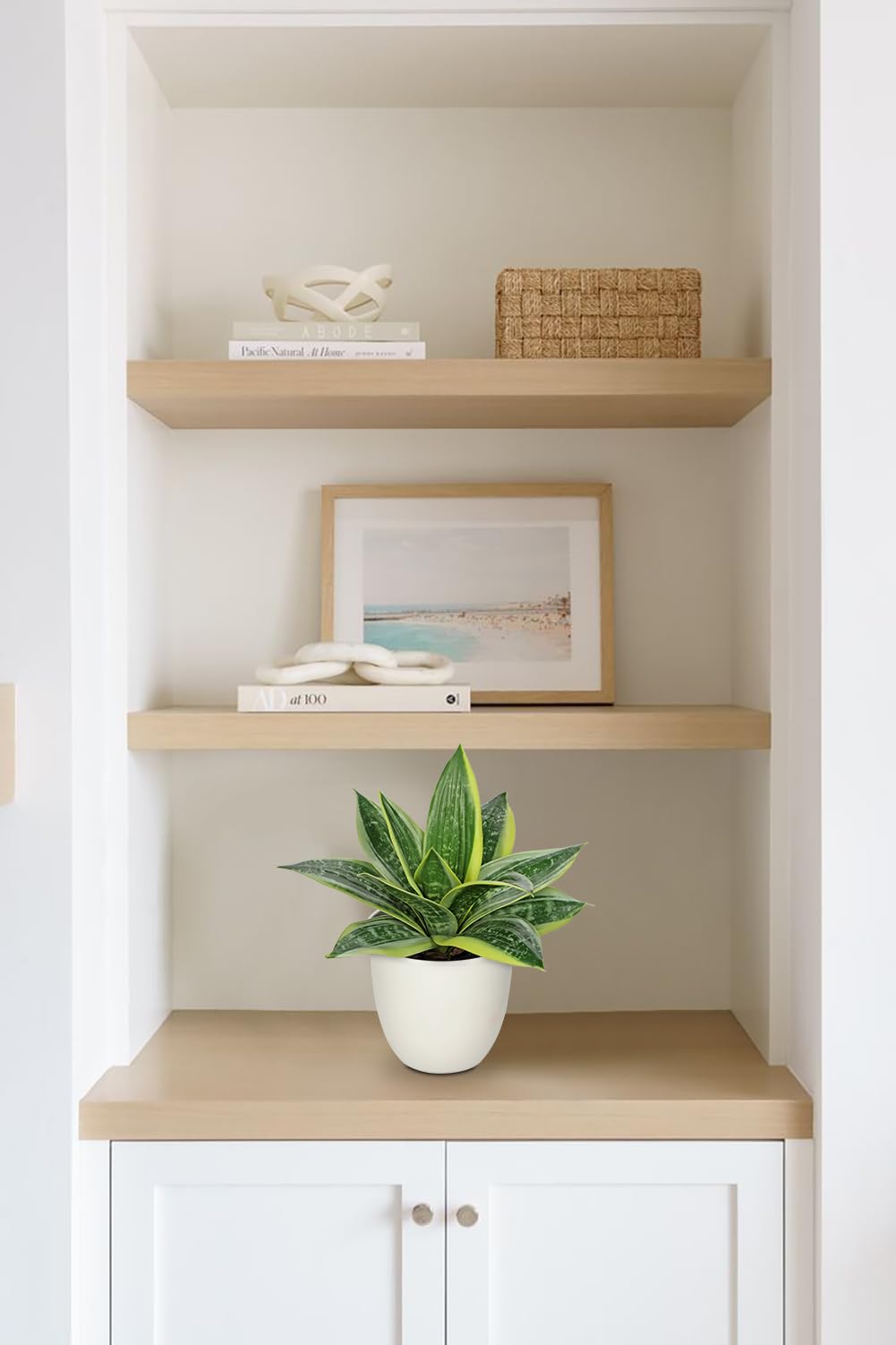 Hollyone Artificial Snake Plants 9" Faux Agave Succulent Plant Potted in White Pot Fake Sansevieria Aloe Tropical Plant for Desk Modern Office Home Bathroom Indoor Outdoor Decor