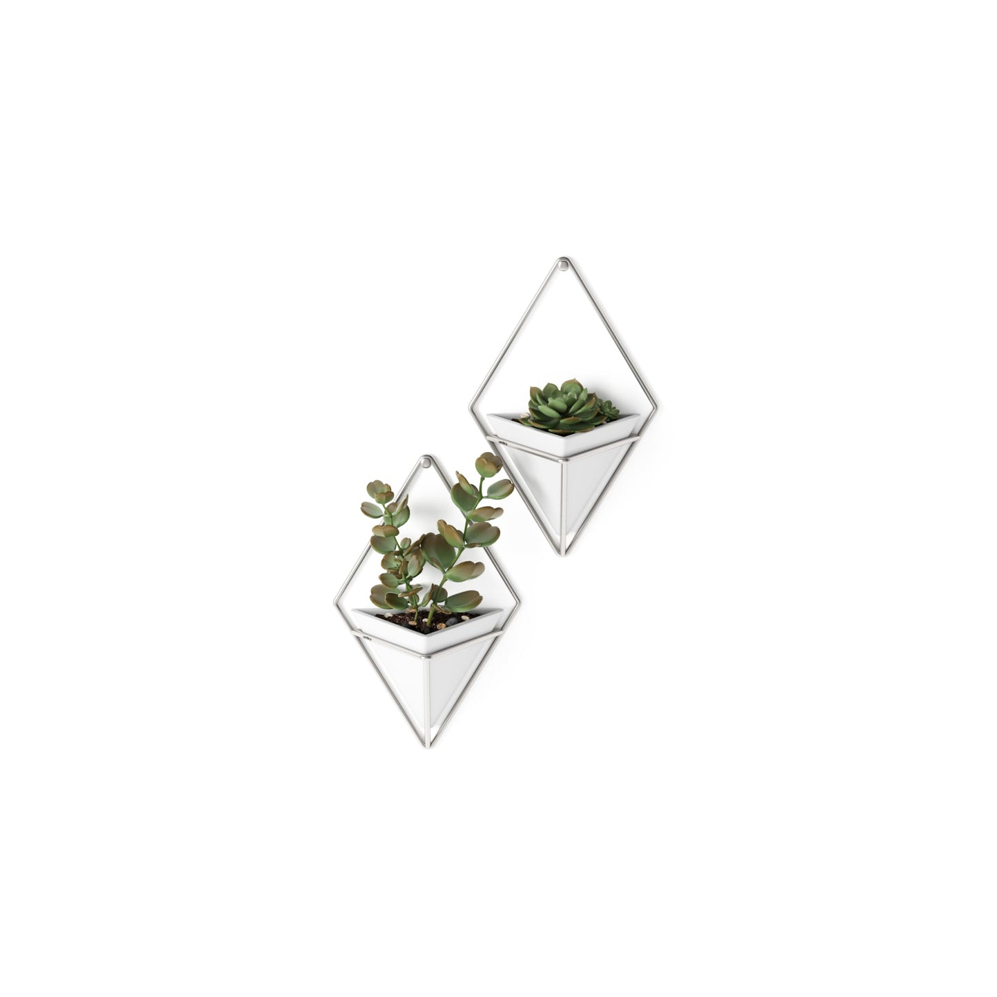 Umbra Trigg Hanging Planter Vase Wall Decor, Set of 2 Pots Containers for Succulents, Cactus, Faux Plants, and More, Small, White/Nickel