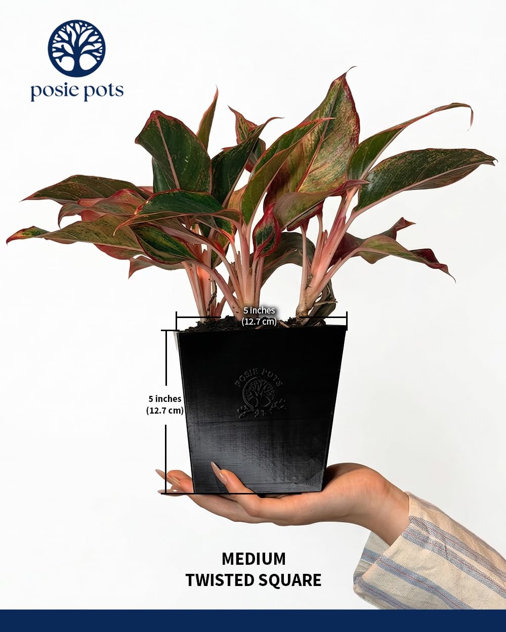 POSIE3DPRINTS Posie Pot Medium Twisted Square - Self Watering Planter 5x5 Inch - Indoor Plant Pot with 30 Day Reservoir - 3D Printed Bioplastic - No Guilt Plant Care - Made in USA, Black