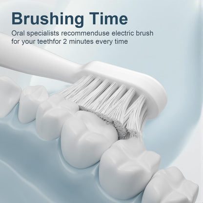 Electric Toothbrush Set with Drying & Sanitizing Holder, 8 Replacement Brush Heads, Transparent Rinse Cup, Smart Timer, USB Rechargeable for Adults