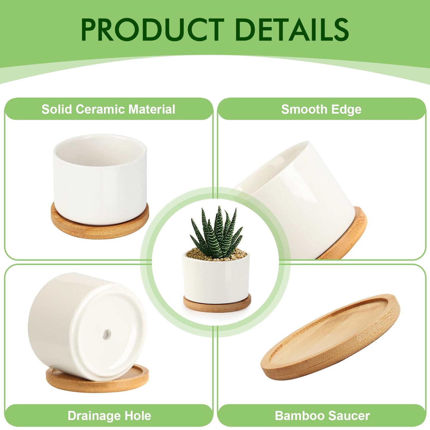 ZOUTOG Succulent Pots 3.1 Inch,Succulent Planters 12 Pack,Small Pots for Plants with Drainage and Tray,White Ceramic Flower Planters for Indoor Plants,Home,Office,Desk