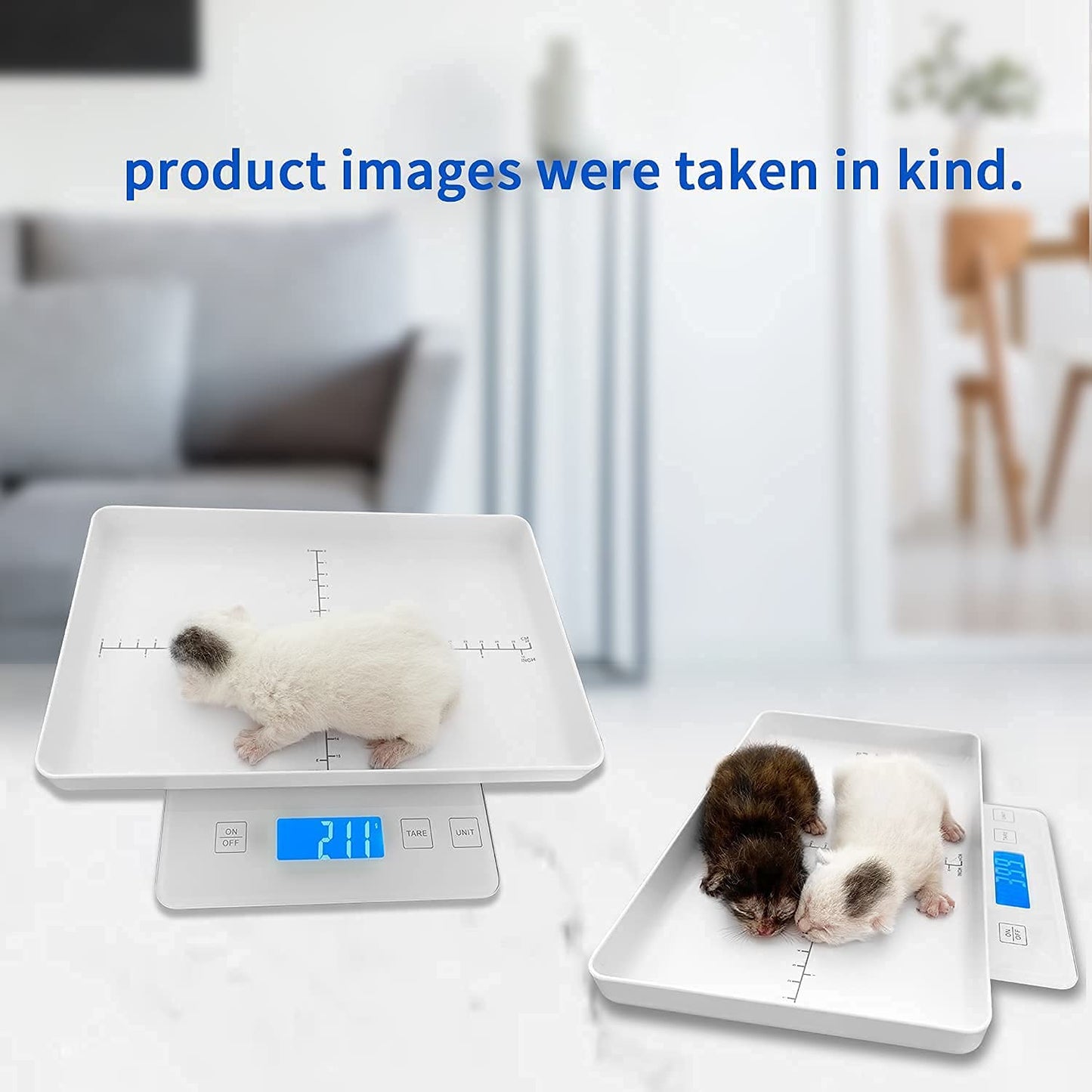MINDPET-MED Digital Pet Scale for Small Animals, High Precision 1g, Suitable for Newborn Pets