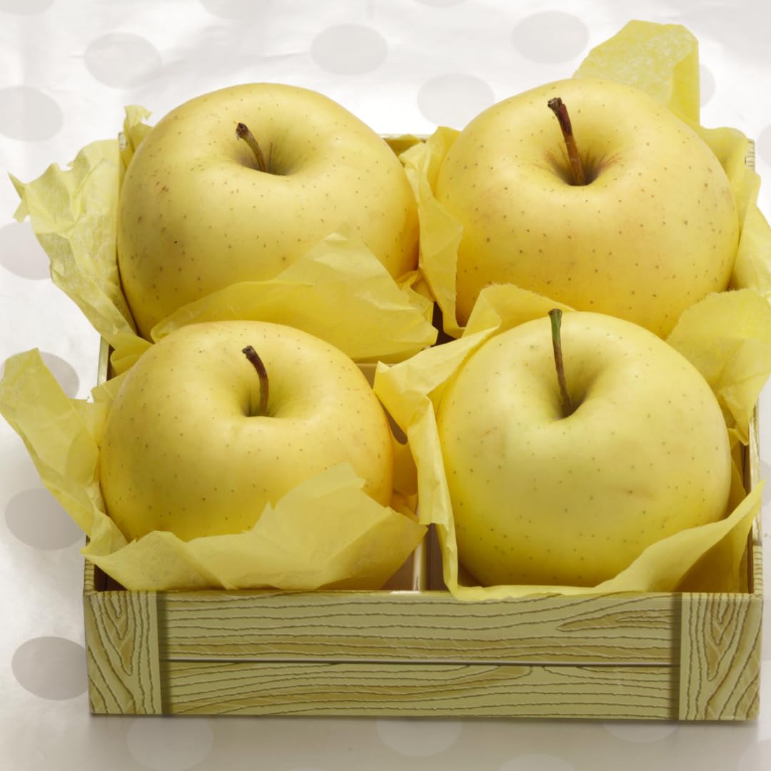 Live Delicious Apple Tree Plant, Sweet Apple Fruit Tree 2-3 Feet Tall in 3 Gallon Pot, Hardy Outdoor Tree, Ready for Planting, No Ship to CA (Yellow Apple)