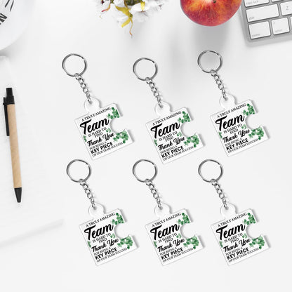 DRMNPKT Set of 6 Team Thank You Appreciation Gifts Bulk for Coworkers Employees Staff Teachers Colleagues Coach, Best Team Ever Gifts Inspirational Teamwork Acrylic Puzzle Piece Keychains, Multicolor