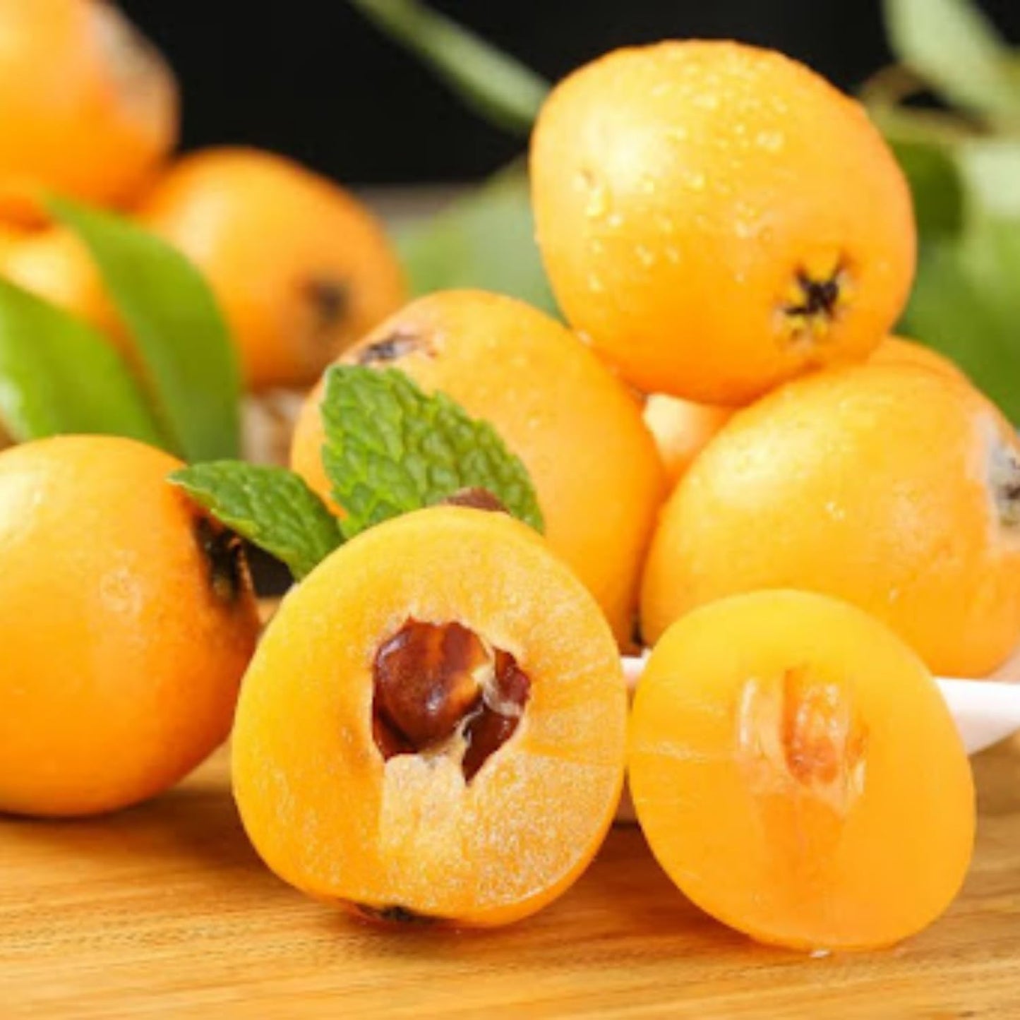 Golden Loquat Tree Live Plant, Grafted Loquat Tree, 10 to 14 Inc, Loquat Plant Live for Growing Outdoor Indoor, Half Gallon Pot