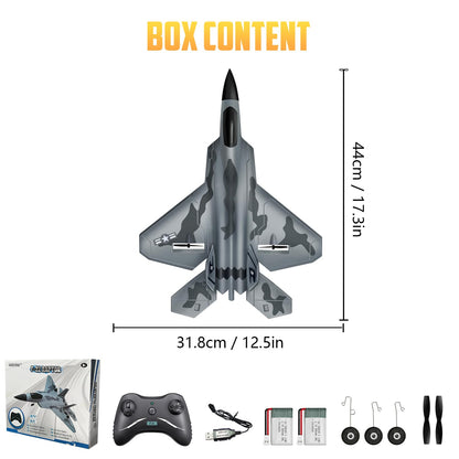 HAWK'S WORK 2 Channel Airplane, F-22 RC Plane Ready to Fly, 2.4 GHz Remote Control Airplane, Glider for Kids & Beginners